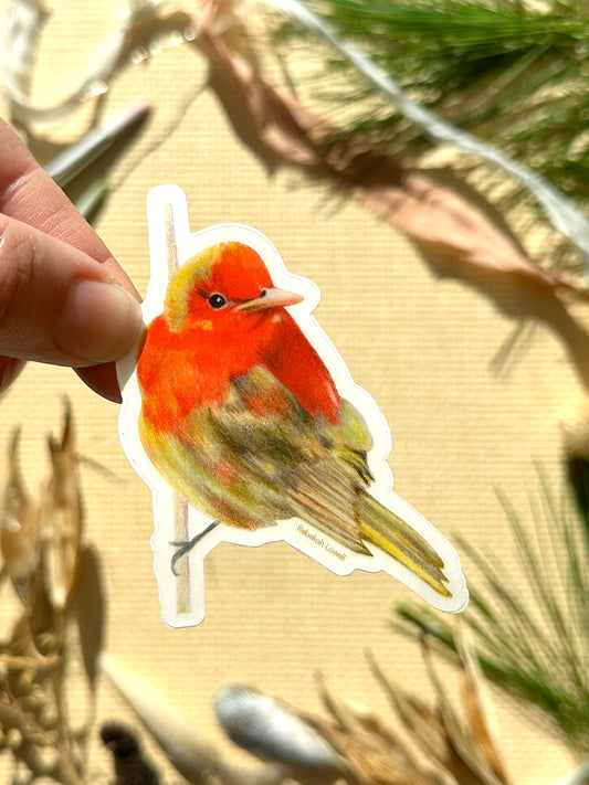 Summer Tanager Clear-Edged Vinyl Decal Bumper Sticker