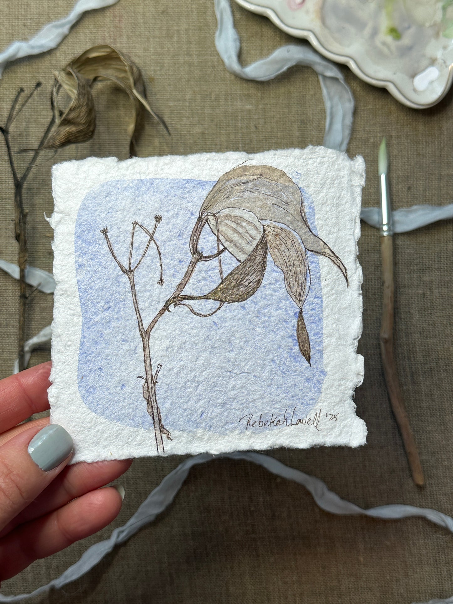 Swamp Milkweed Botanical Mini Original Painting