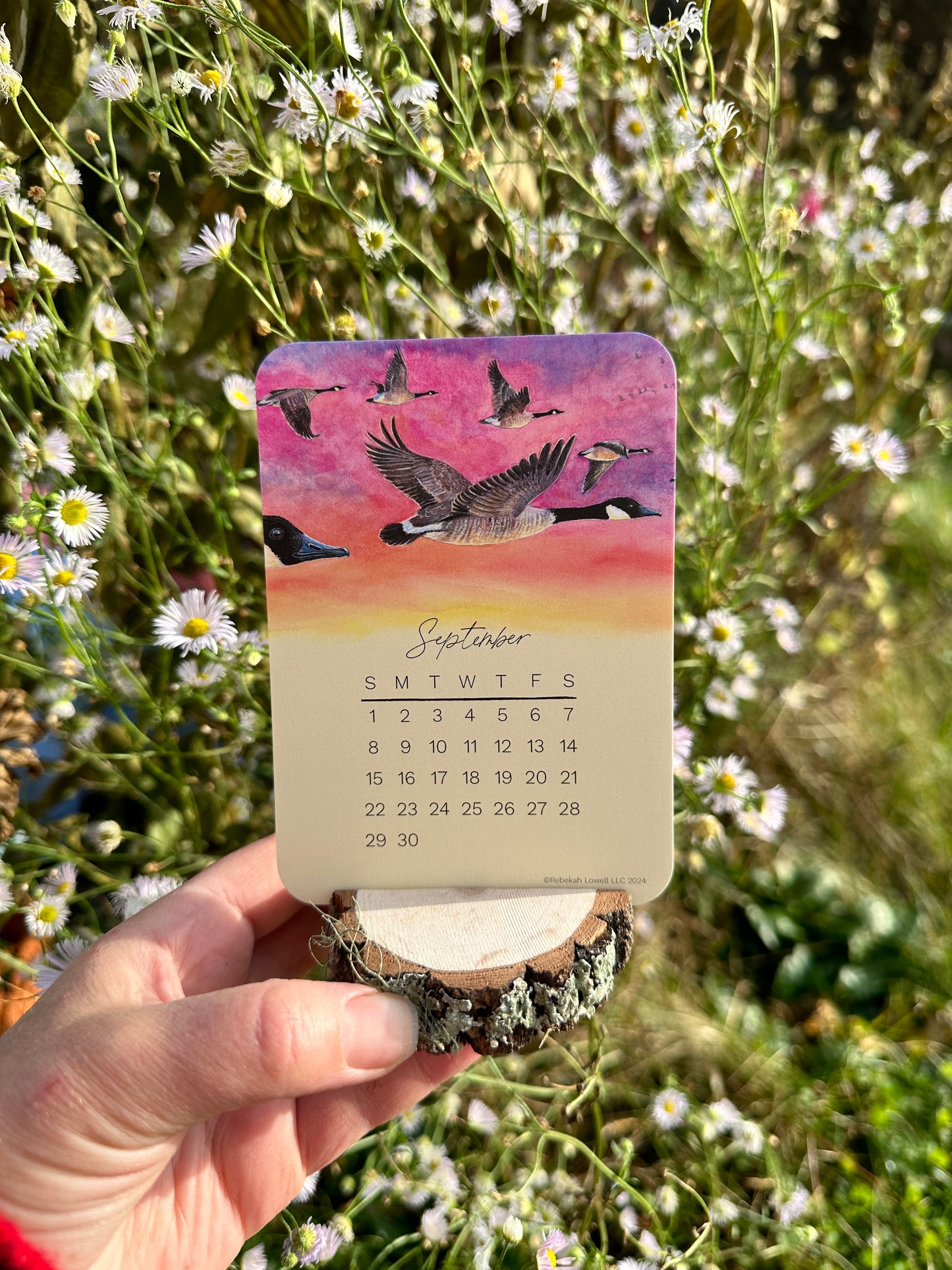 2024 Catching Flight Desk Calendar with Natural Wood Stand
