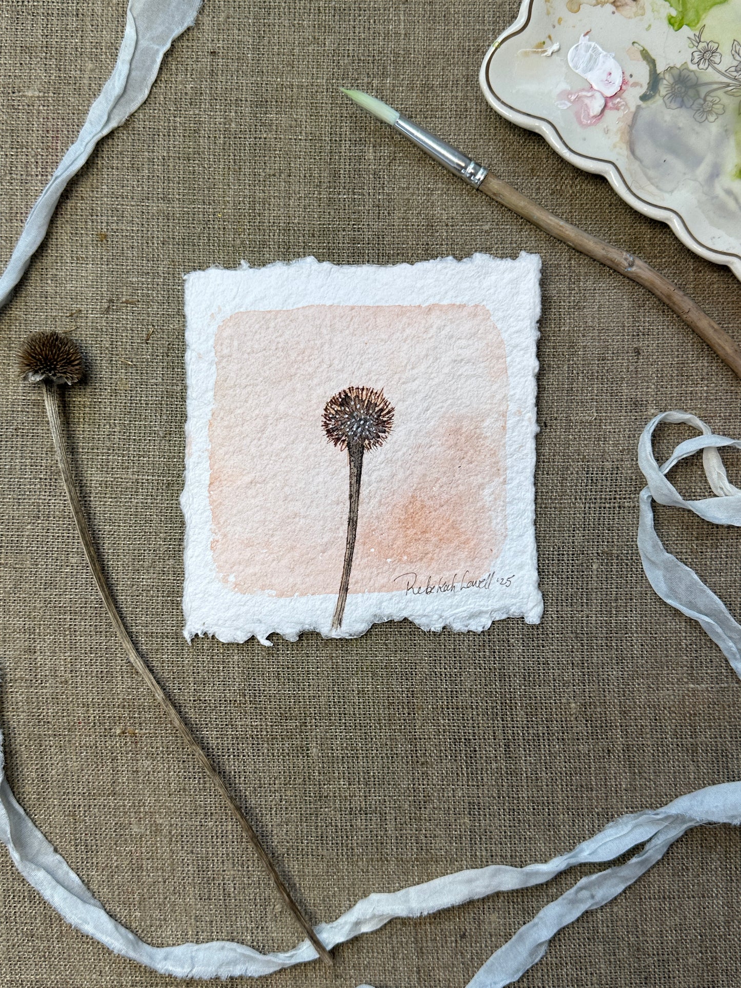 Echinacea Botanical Mini Original Painting