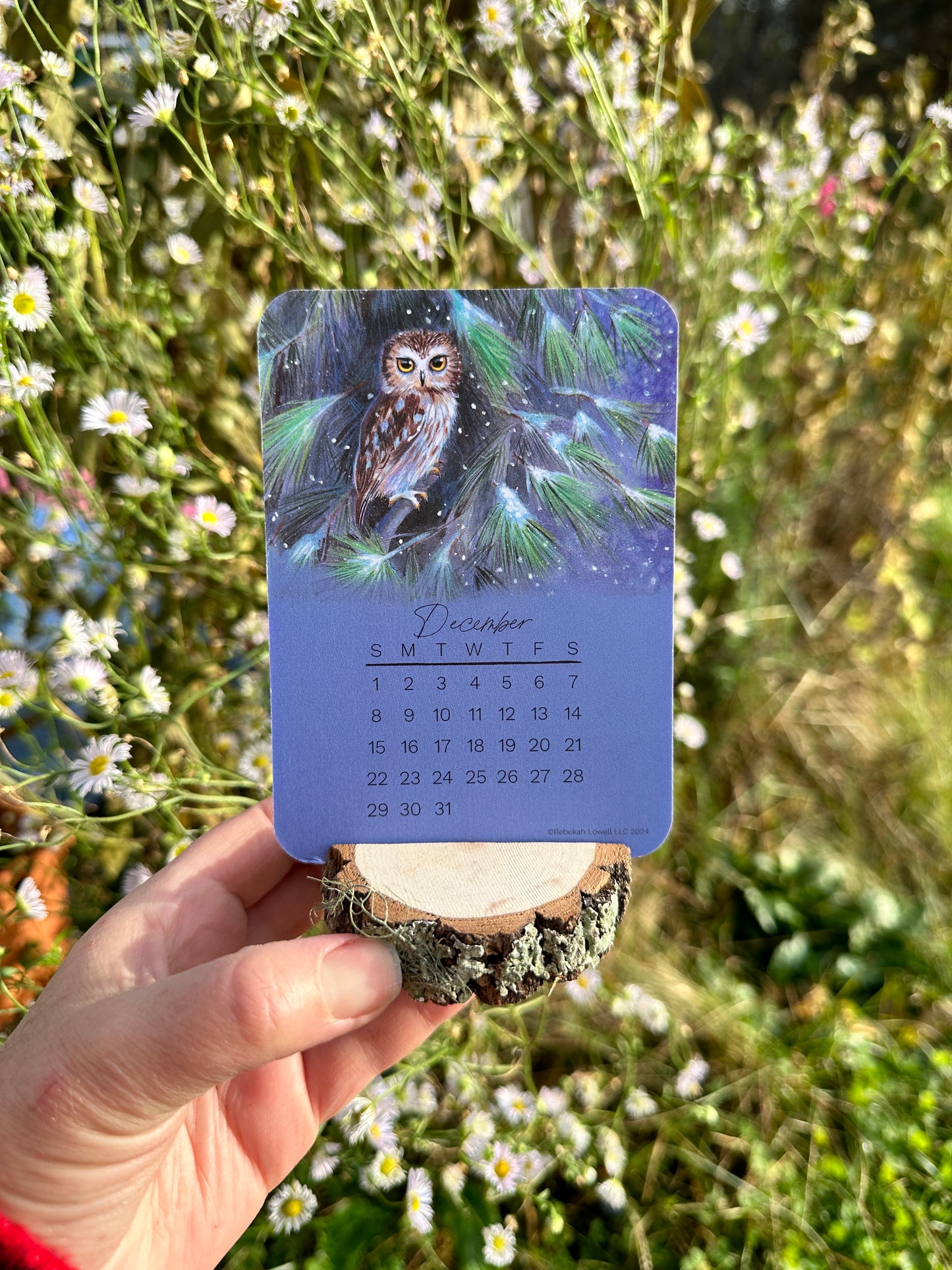 2024 Catching Flight Desk Calendar with Natural Wood Stand