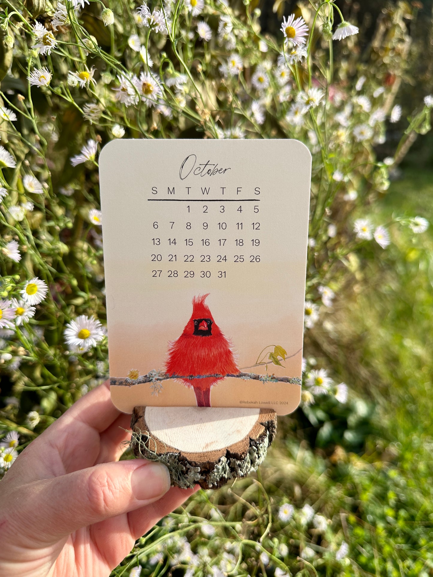 2024 Catching Flight Desk Calendar with Natural Wood Stand