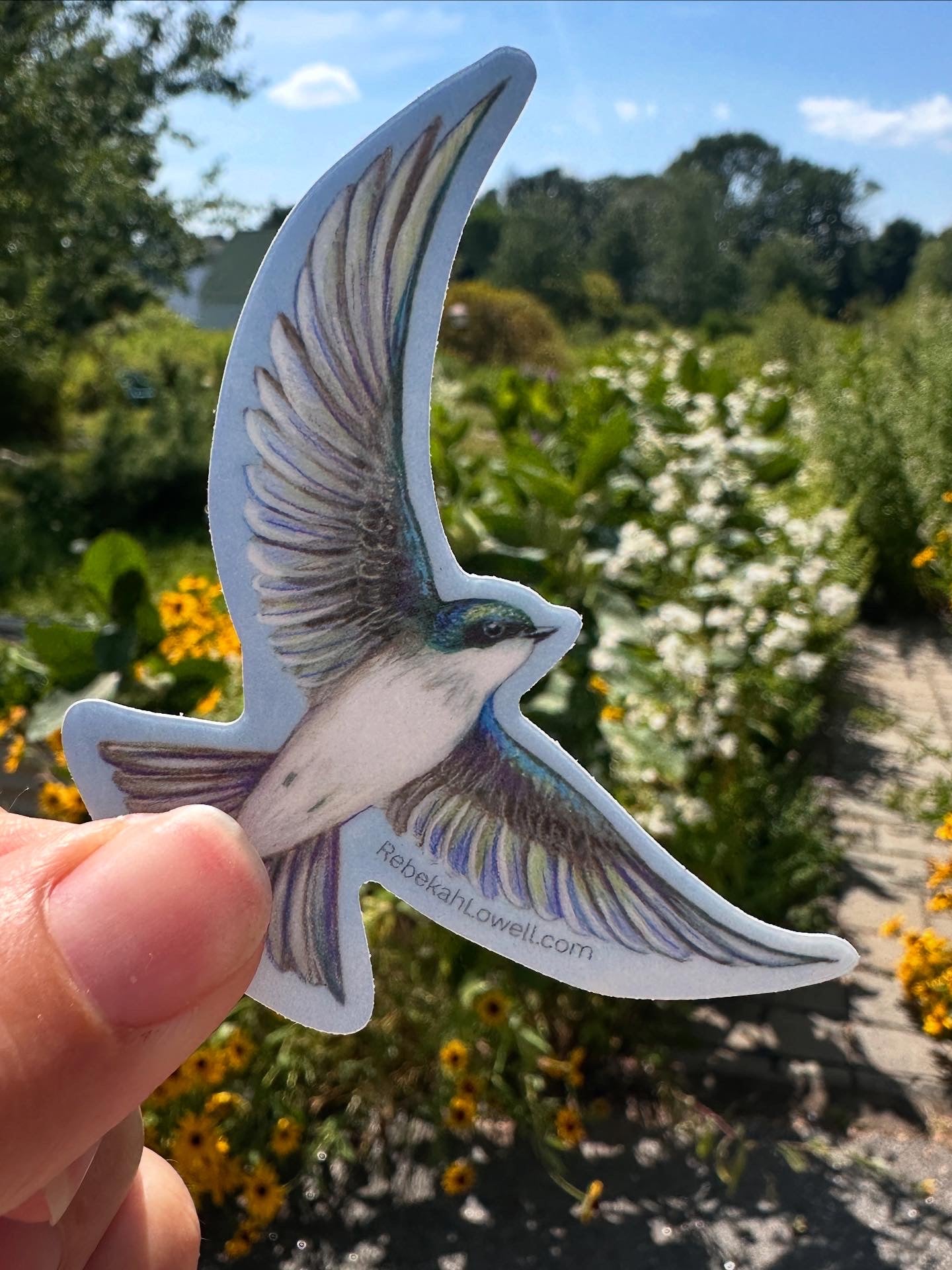 Tree Swallow Vinyl Decal Bumper Sticker