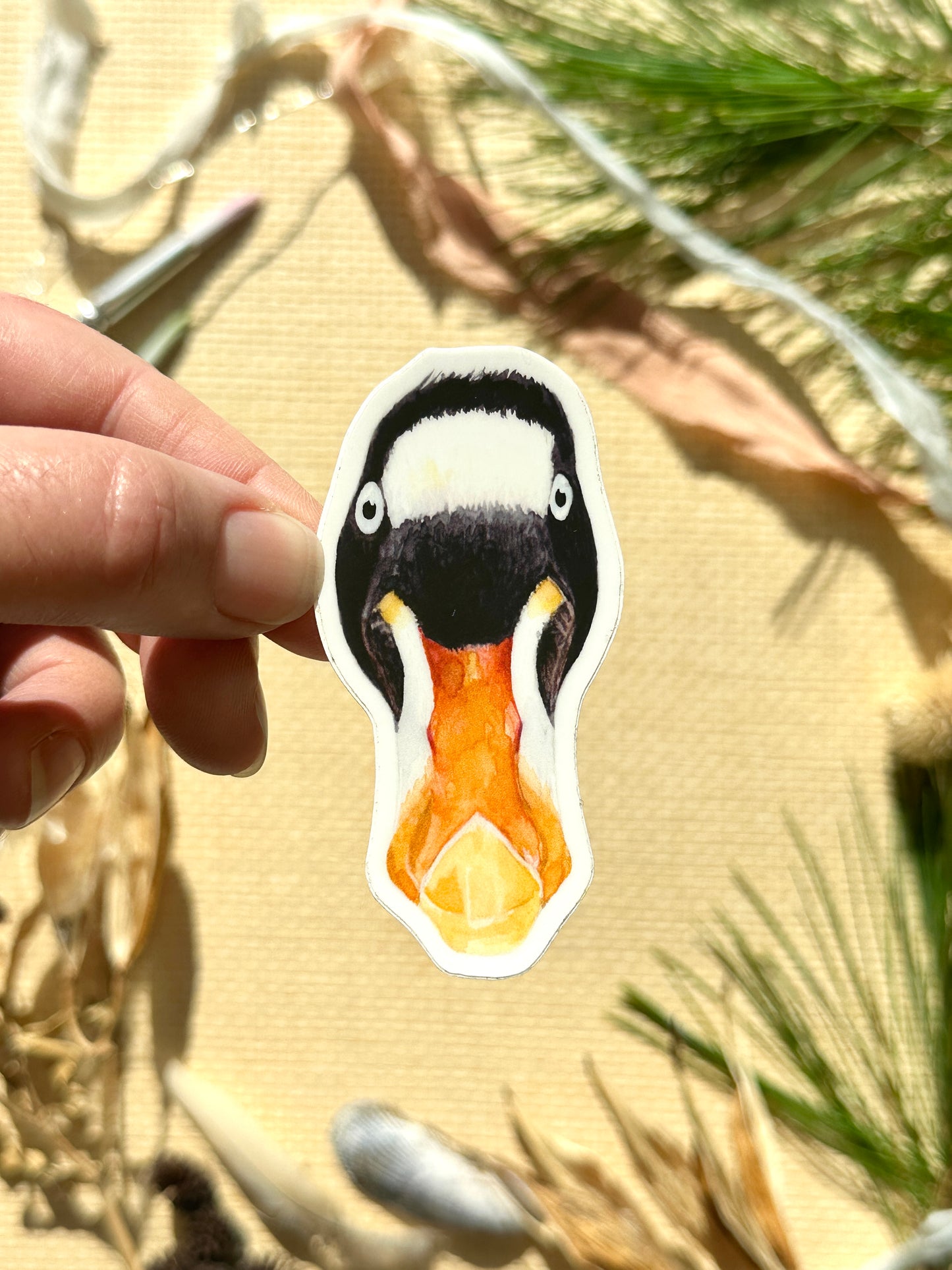 Surf Scoter Vinyl Decal Bumper Sticker