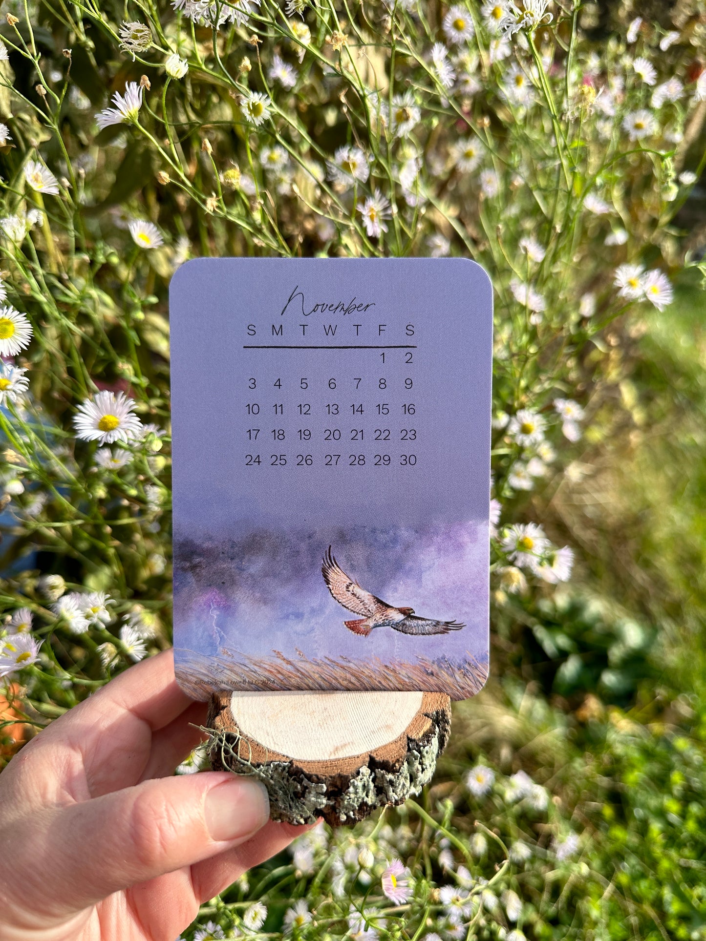 2024 Catching Flight Desk Calendar with Natural Wood Stand