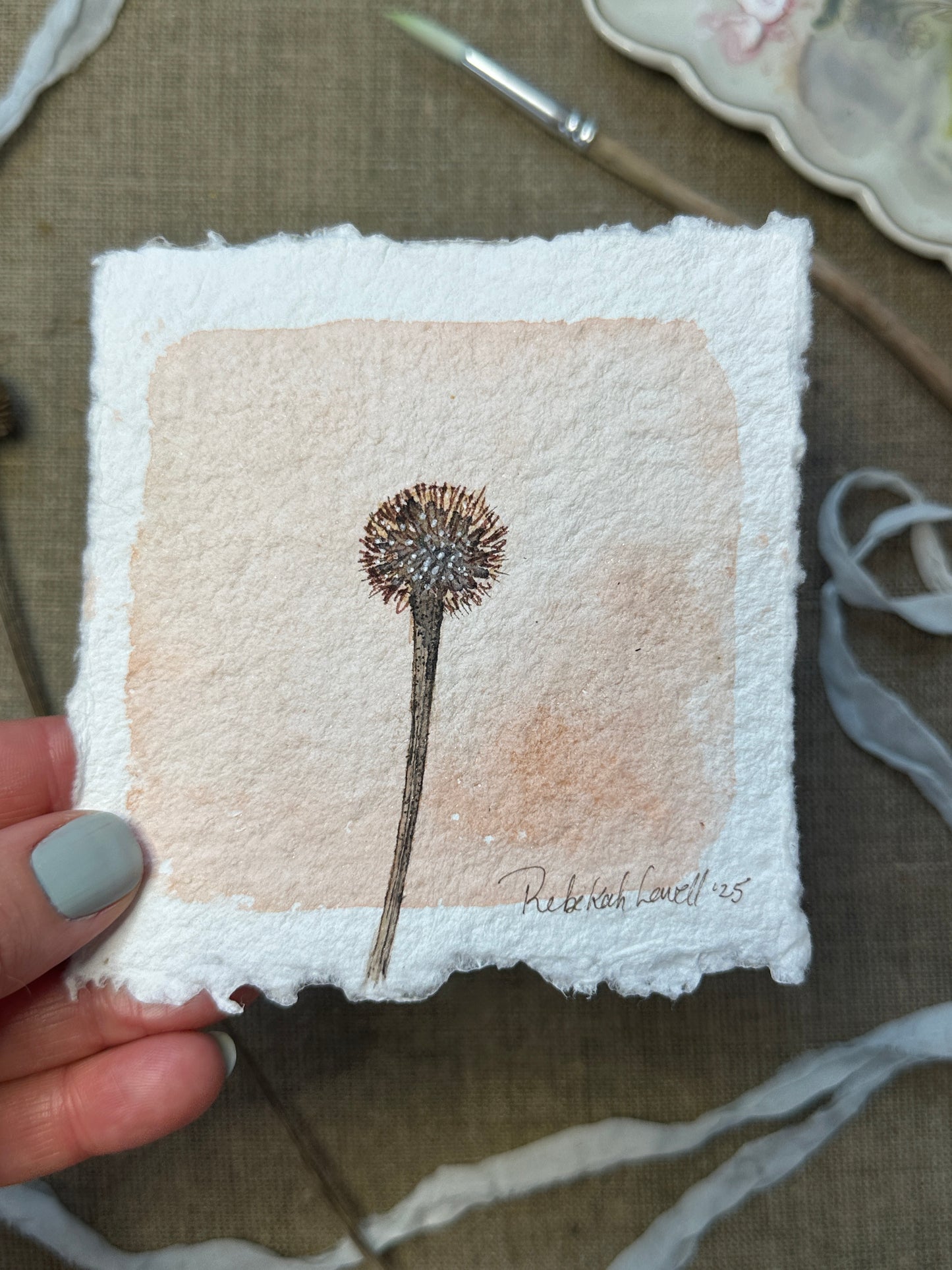 Echinacea Botanical Mini Original Painting