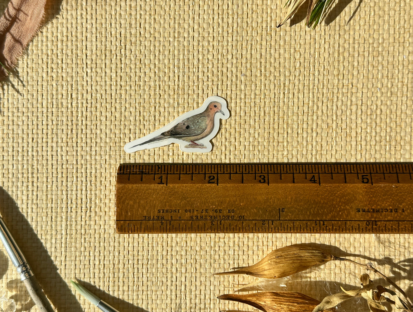 Mourning Dove Vinyl Sticker Decal