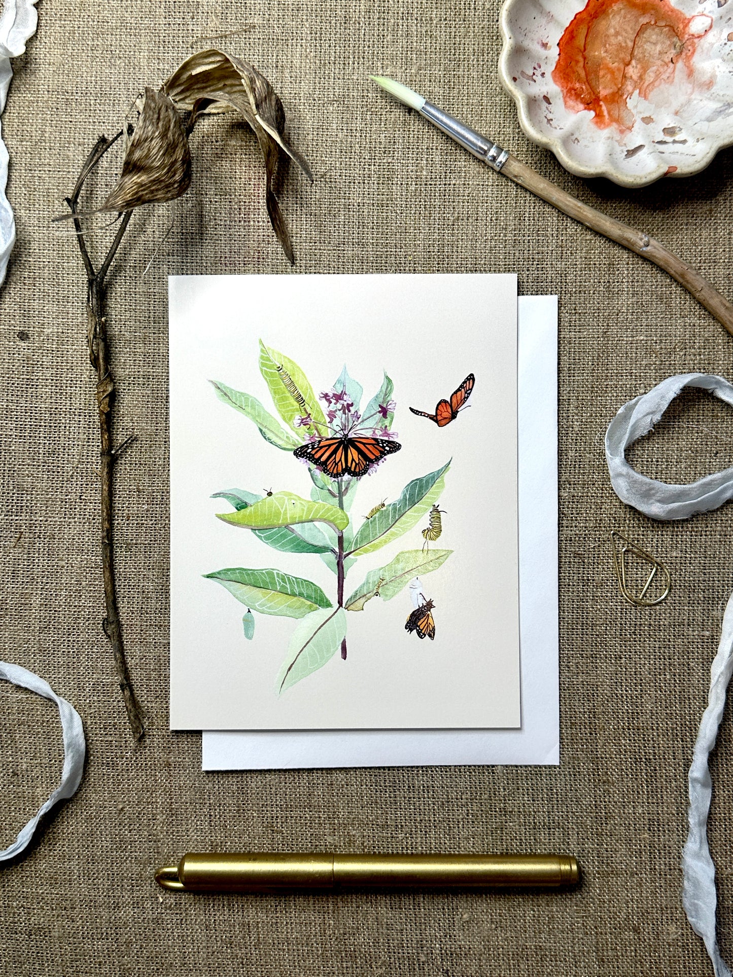 Monarchs and Milkweed Natural Science Illustration Blank Notecard
