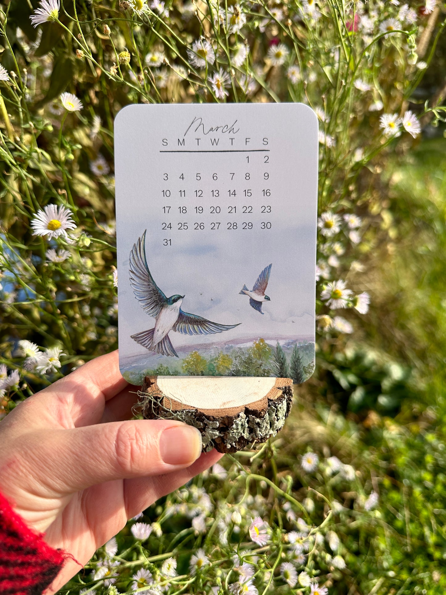 2024 Catching Flight Desk Calendar with Natural Wood Stand