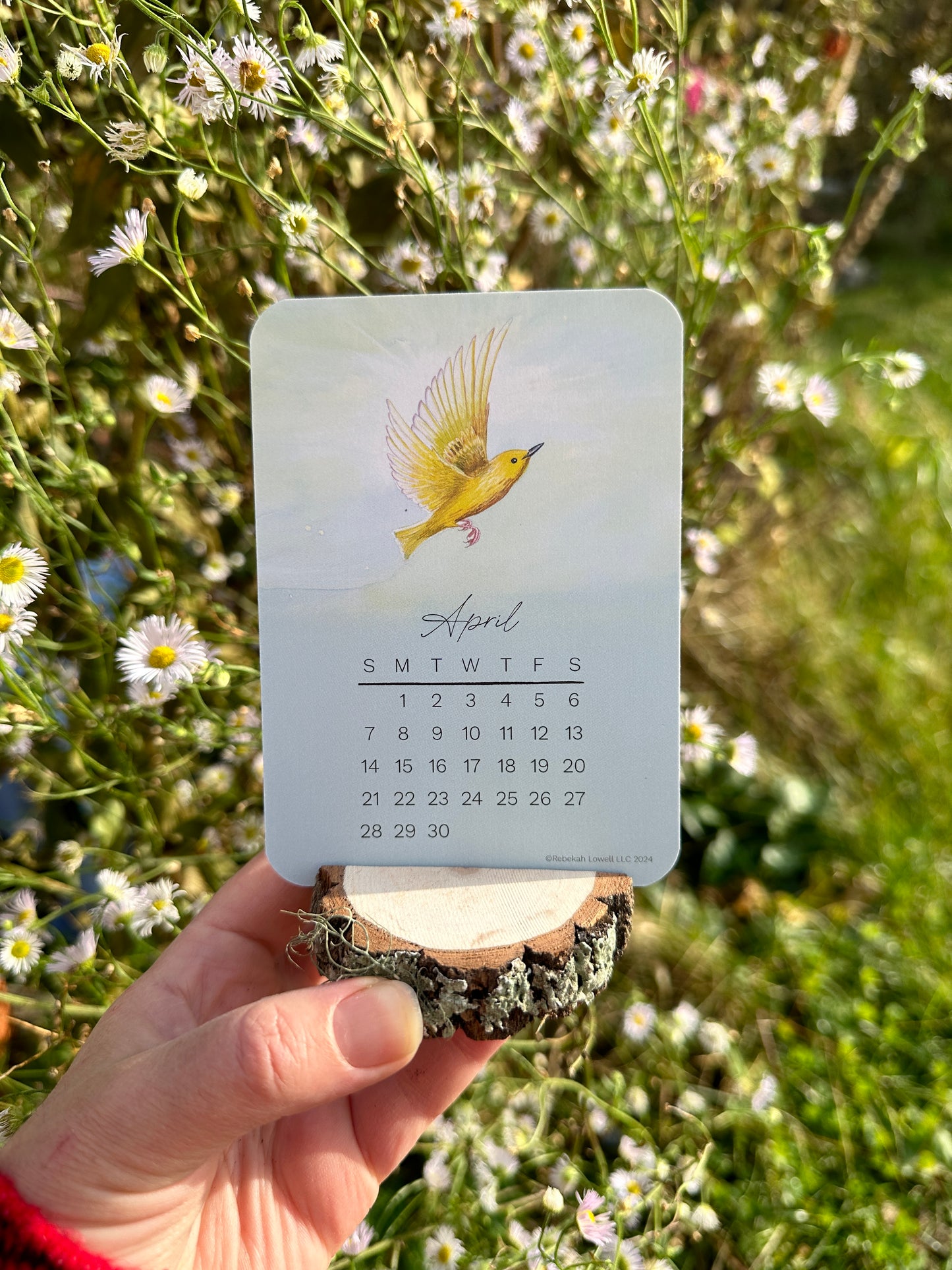 2024 Catching Flight Desk Calendar with Natural Wood Stand