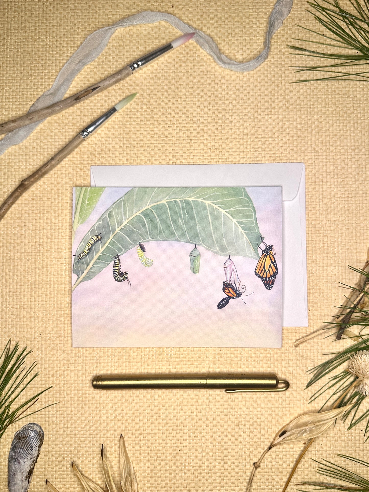 Monarch Butterfly Metamorphosis Blank Notecard