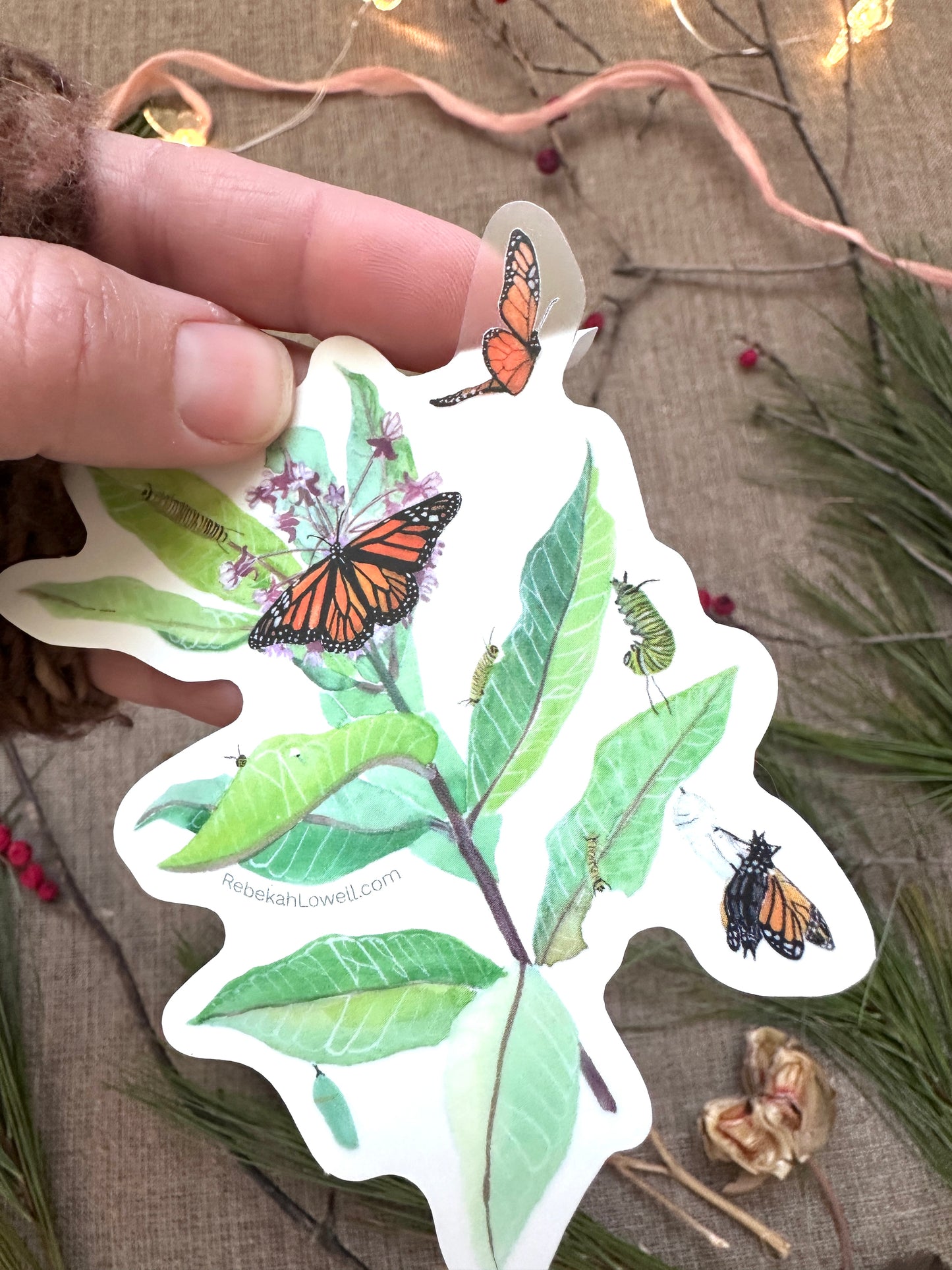 Monarchs & Milkweed Clear Vinyl Decal Bumper Sticker