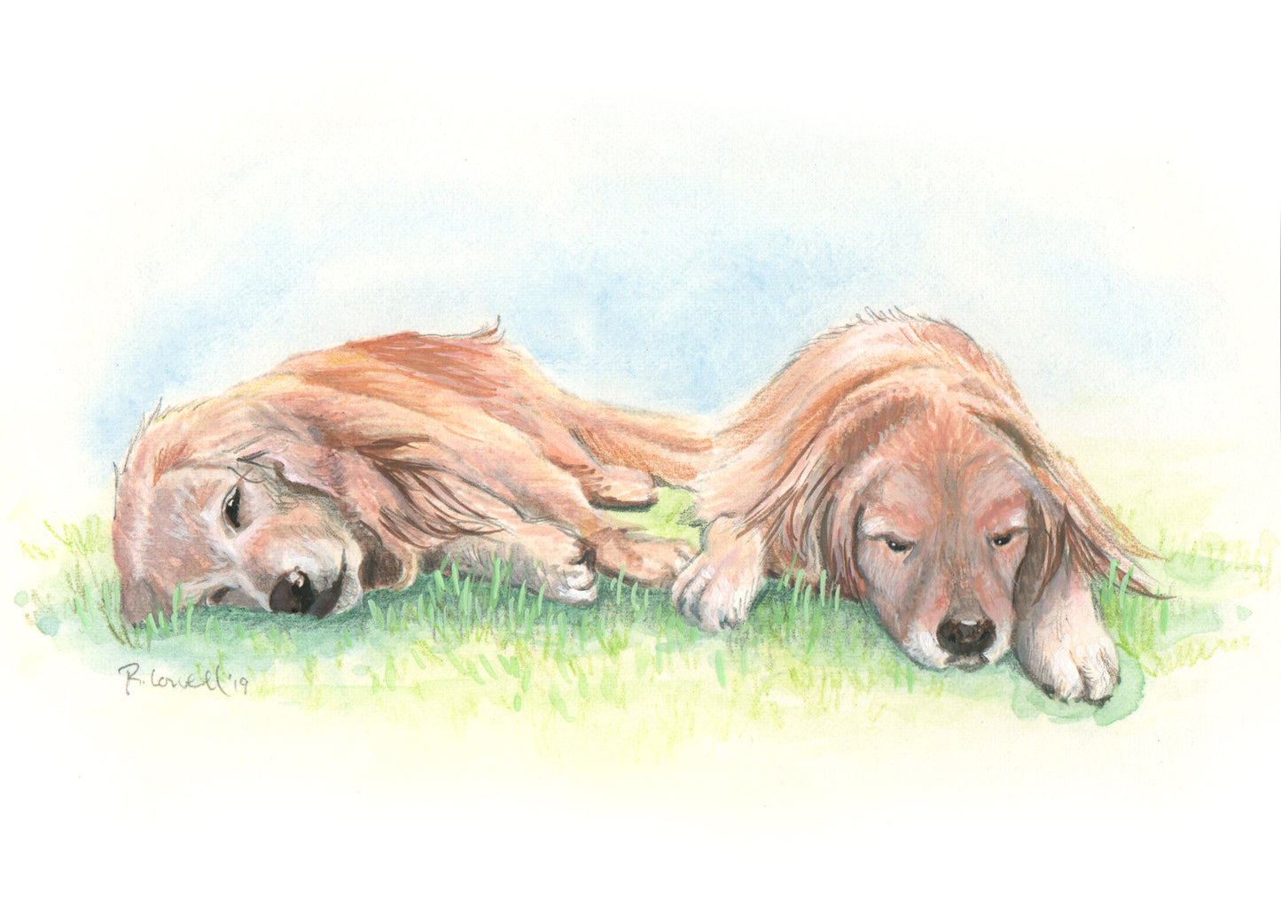 Custom Pet Portrait, Made to Order (Color)