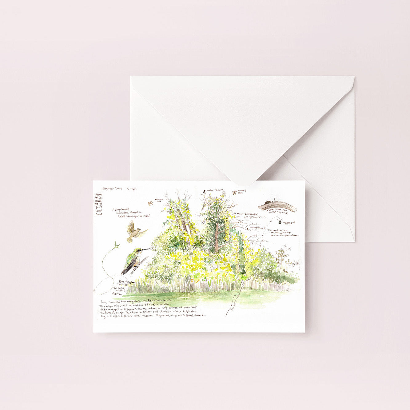 Hummingbird and Tree Nature Journal Blank Notecard