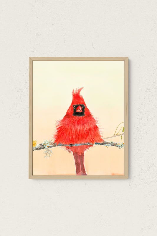 Northern Cardinal Art Print