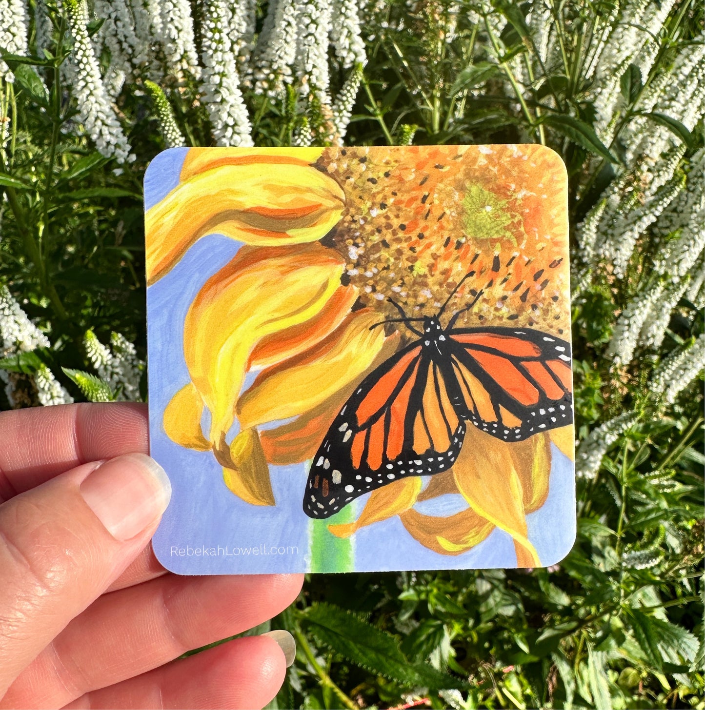 Sipping on Sunflowers Monarch Butterfly Sticker