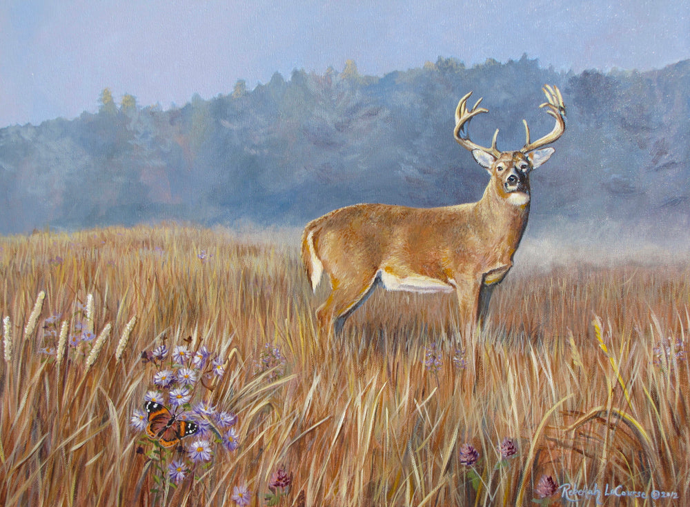 Backyard Buck Art Print