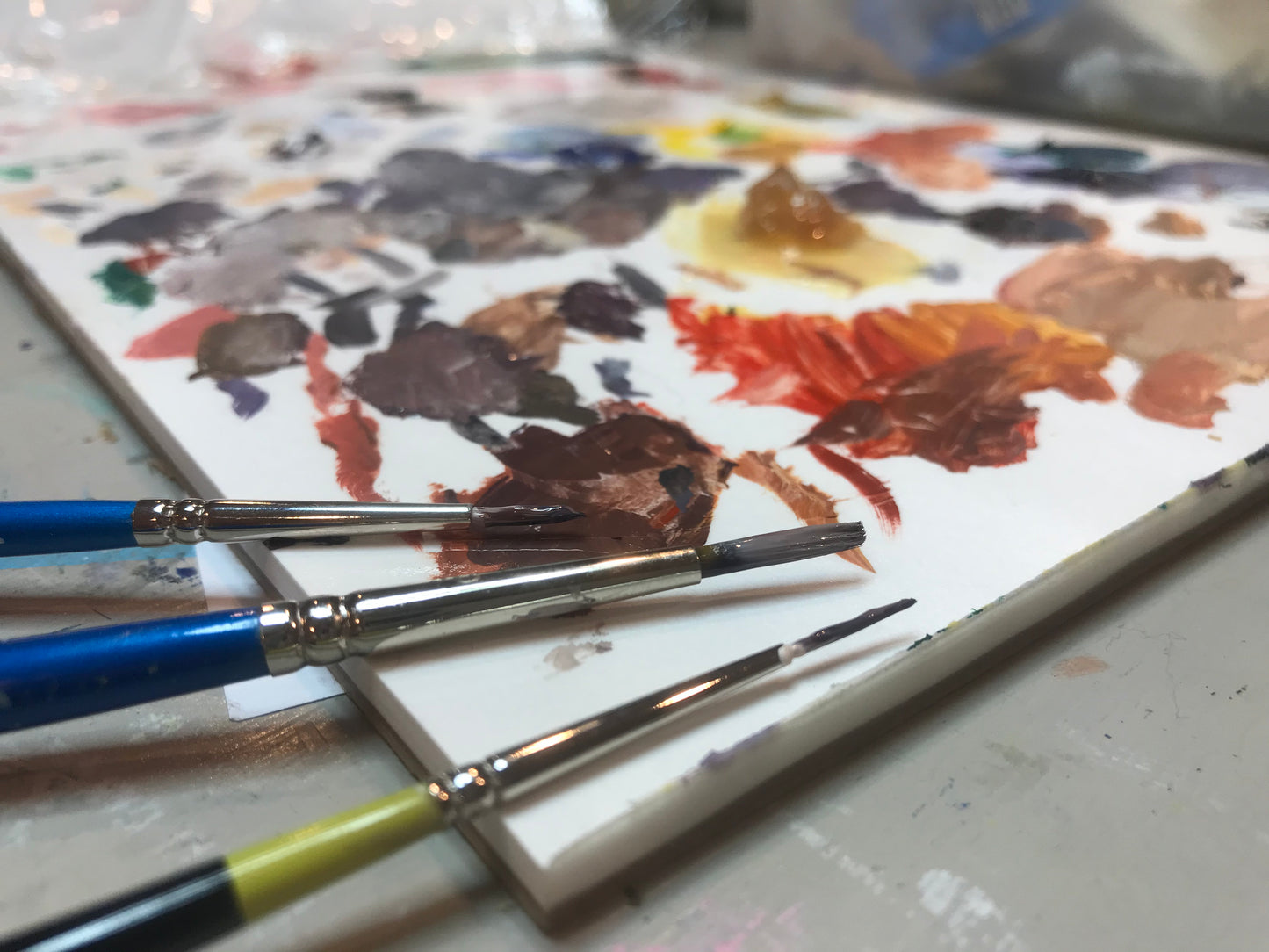 2020 Maine Duck Stamp Print, "At the Blush of Dawn",  Red-breasted Mergansers