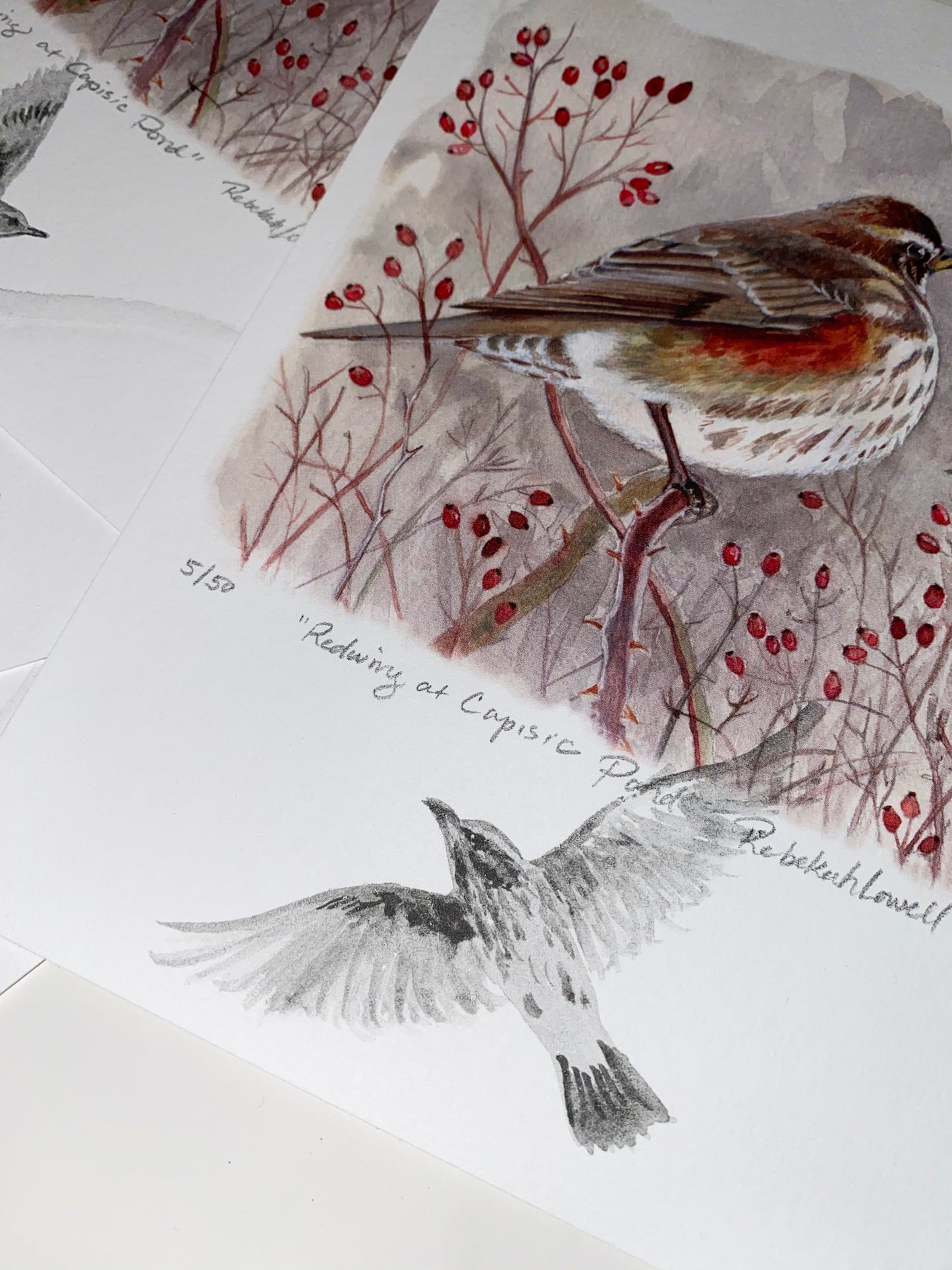 Limited Edition Print "Redwing at Capisic Pond" with Original Art Remarque