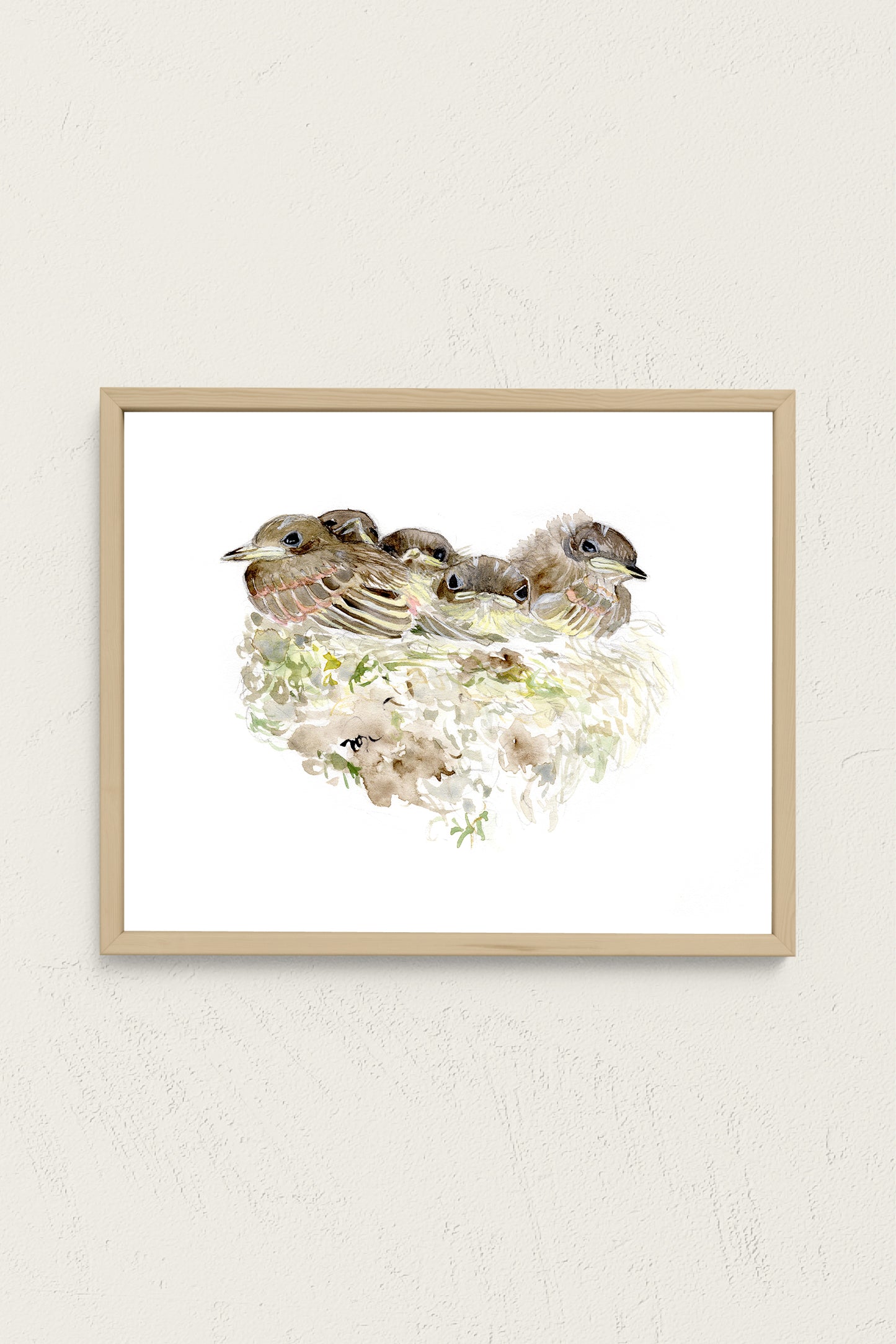 Phoebe Nestlings Art Print