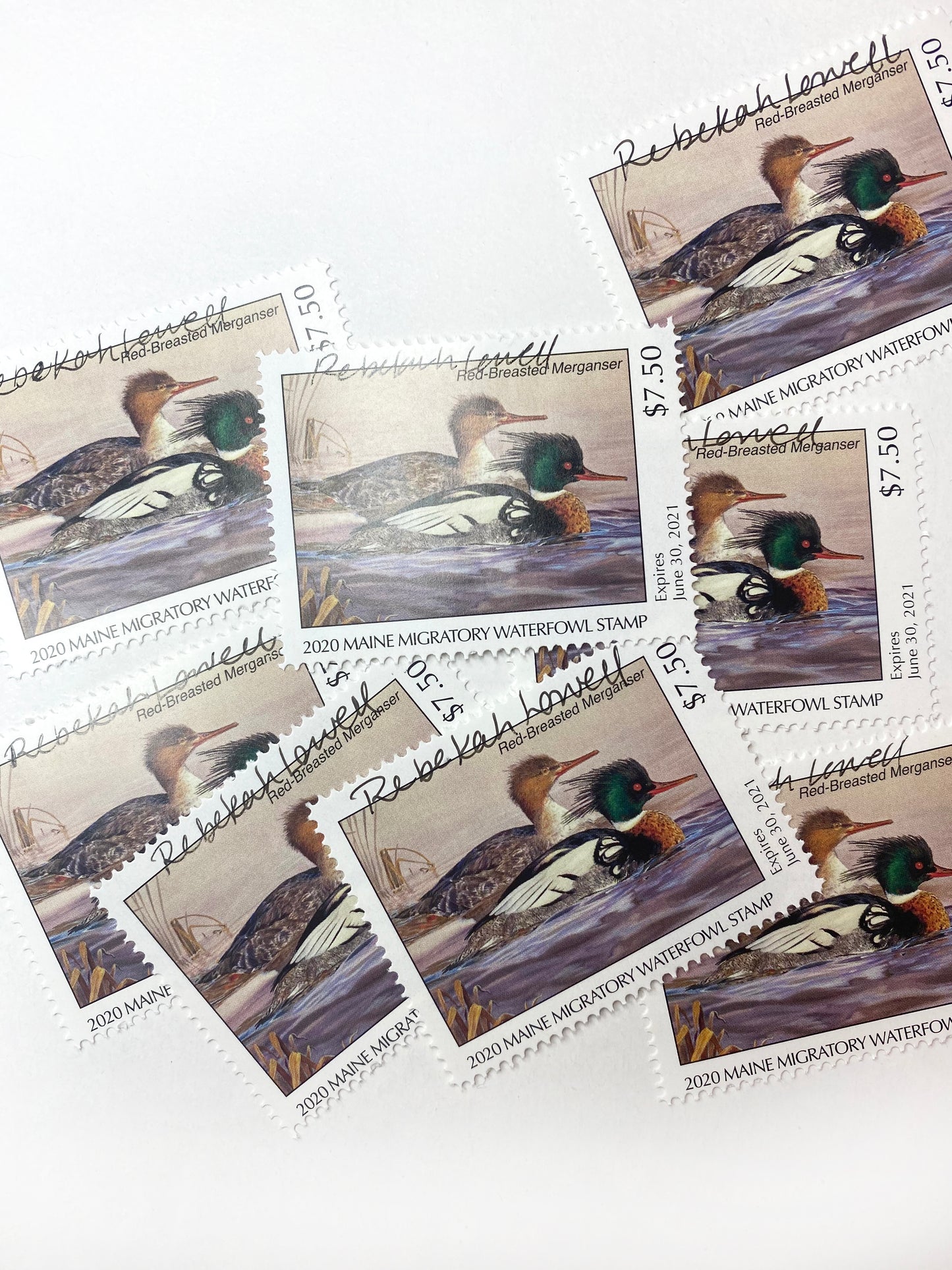 Signed 2020 Maine Duck Stamp