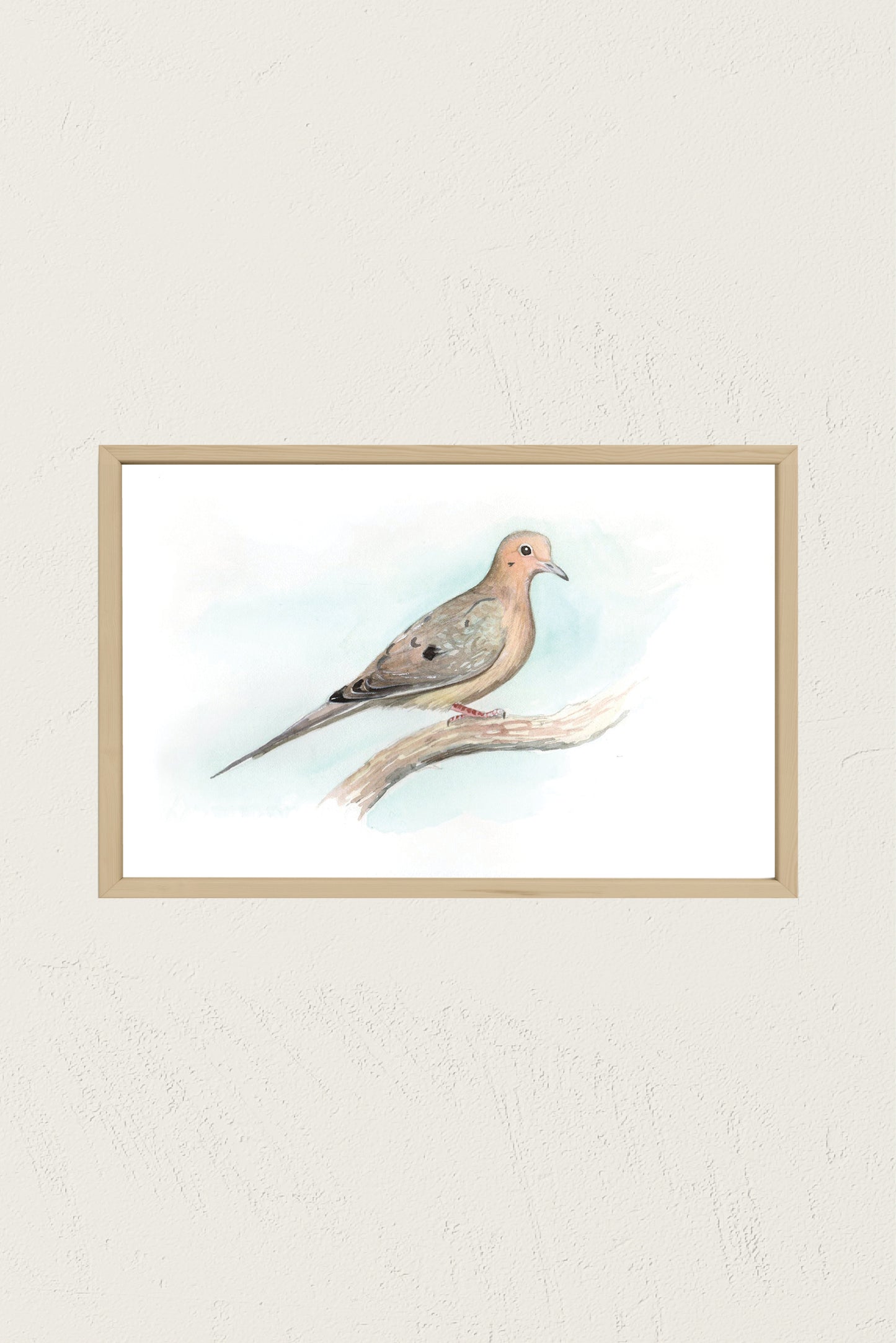 Mourning Dove Print