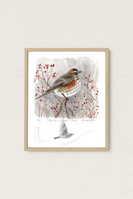Limited Edition Print "Redwing at Capisic Pond" with Original Art Remarque