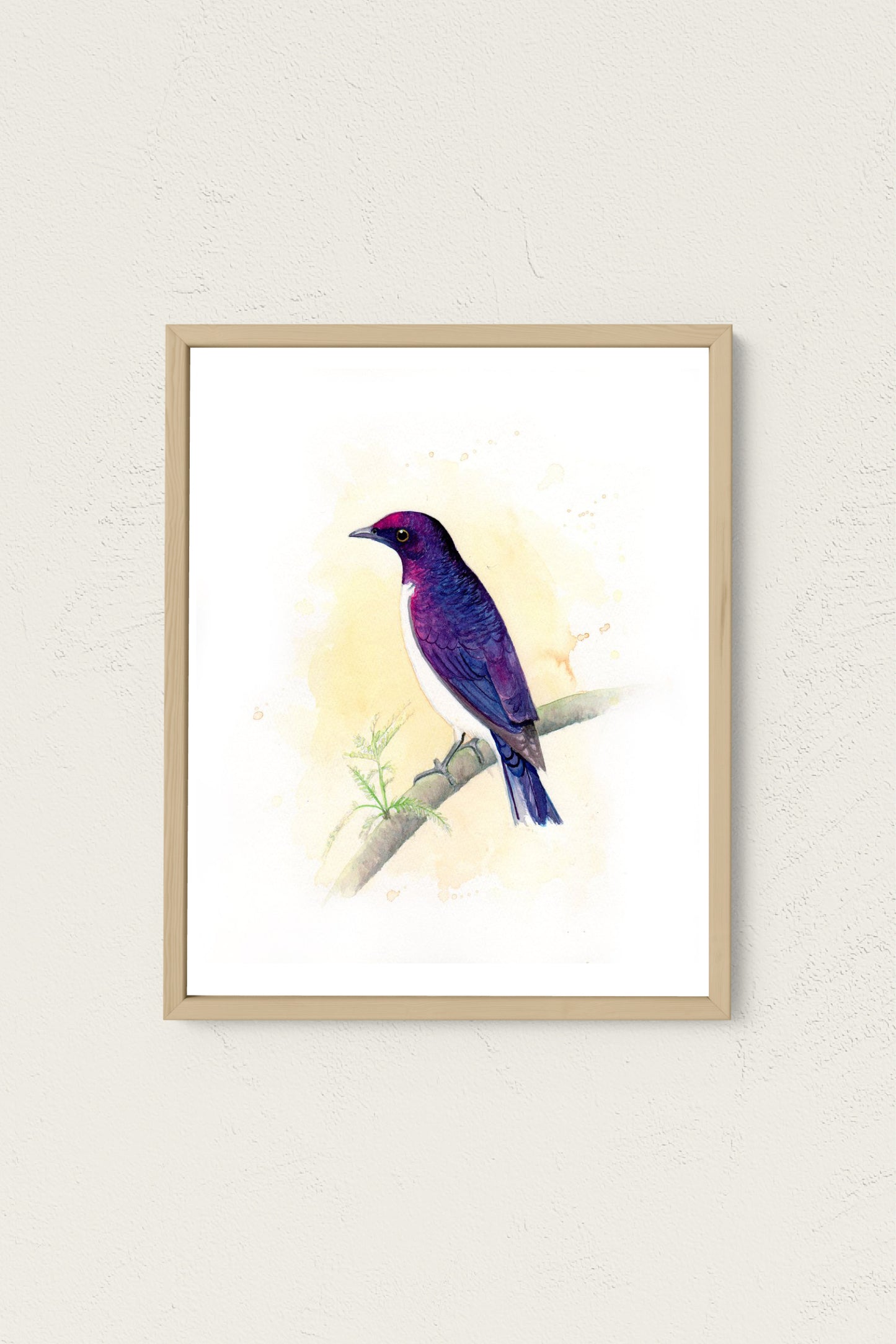 Violet-Backed Starling Art Print