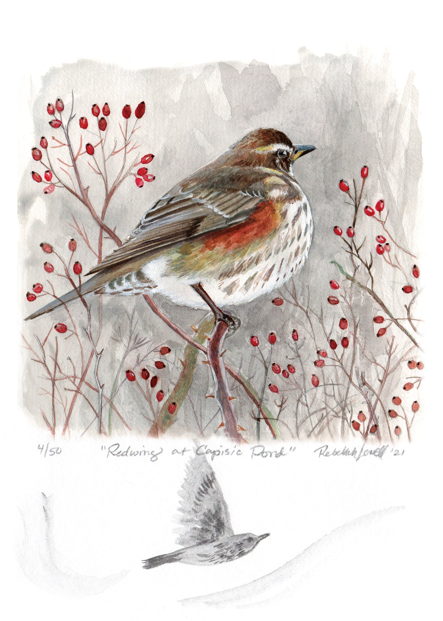 Limited Edition Print "Redwing at Capisic Pond" with Original Art Remarque