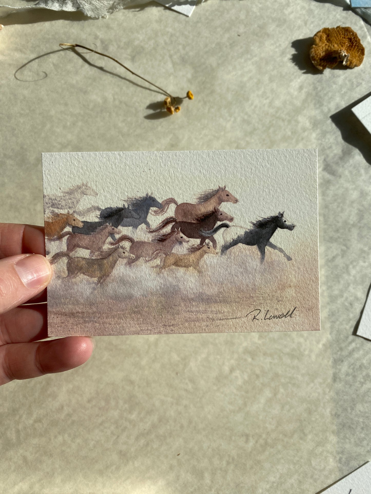 Wild Horses Run Free Little Print