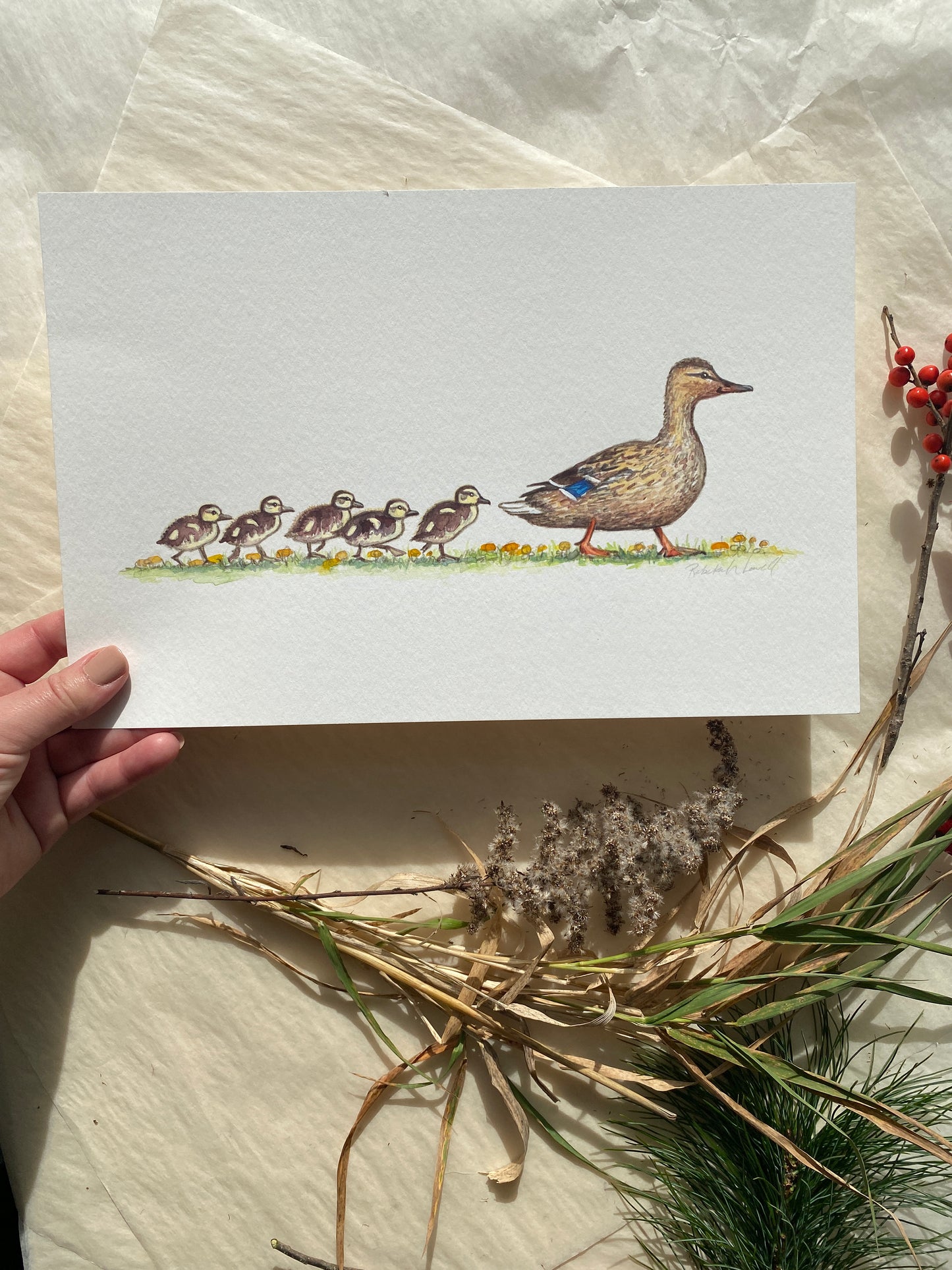 Watercolor Duck Family Hen Mallard & Ducklings