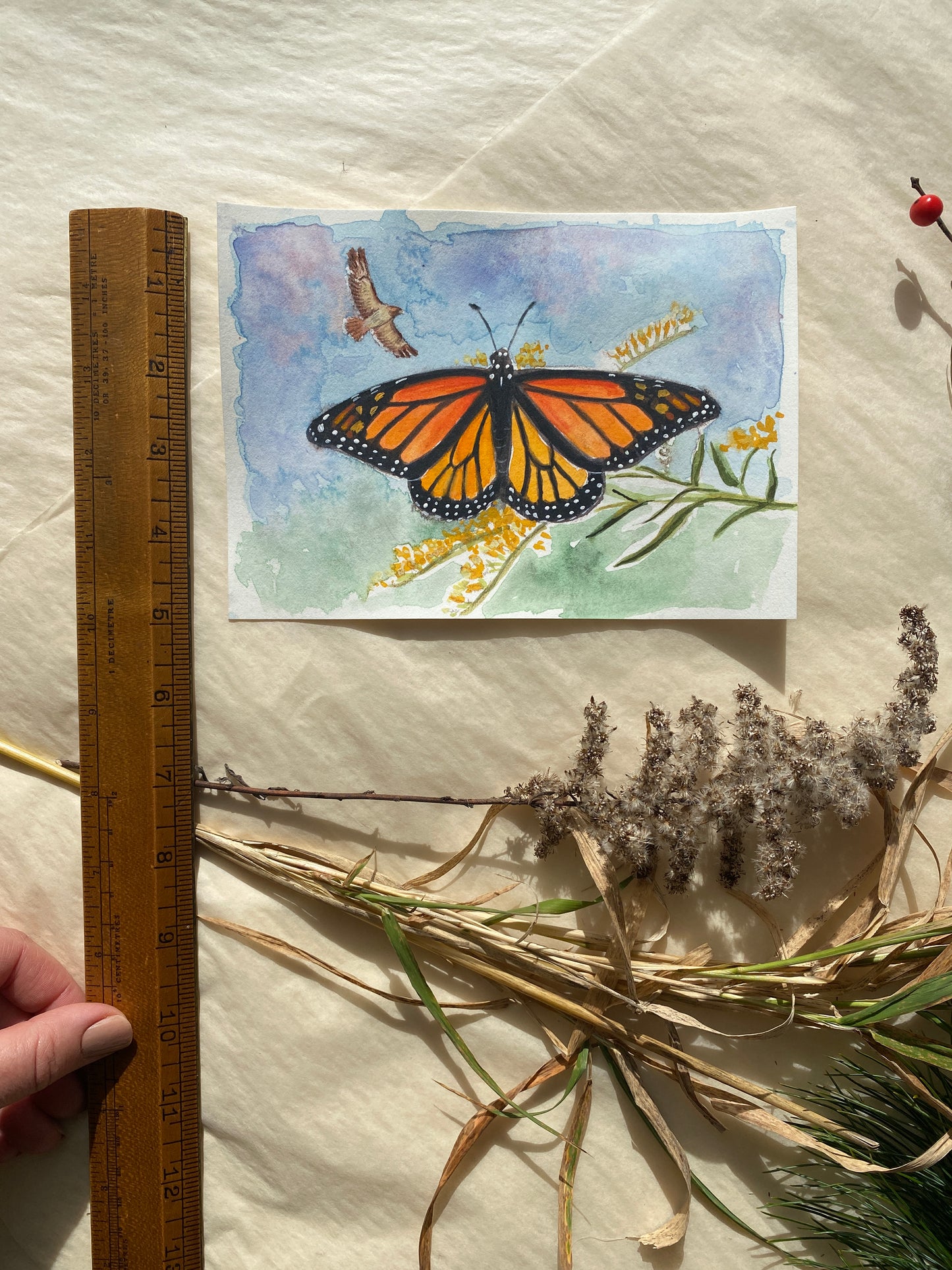 Watercolor Monarch Painting