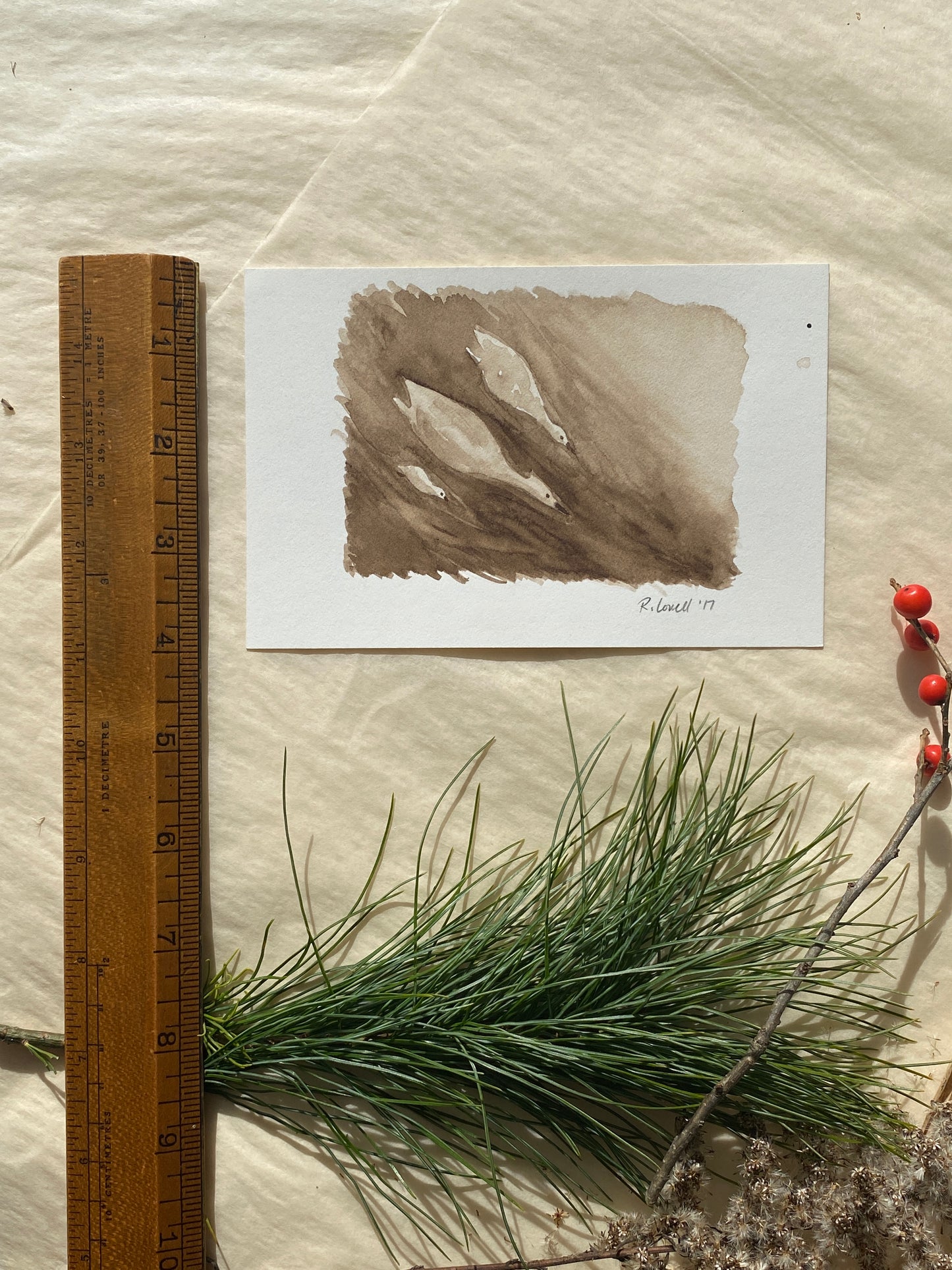 Walnut ink Grebes