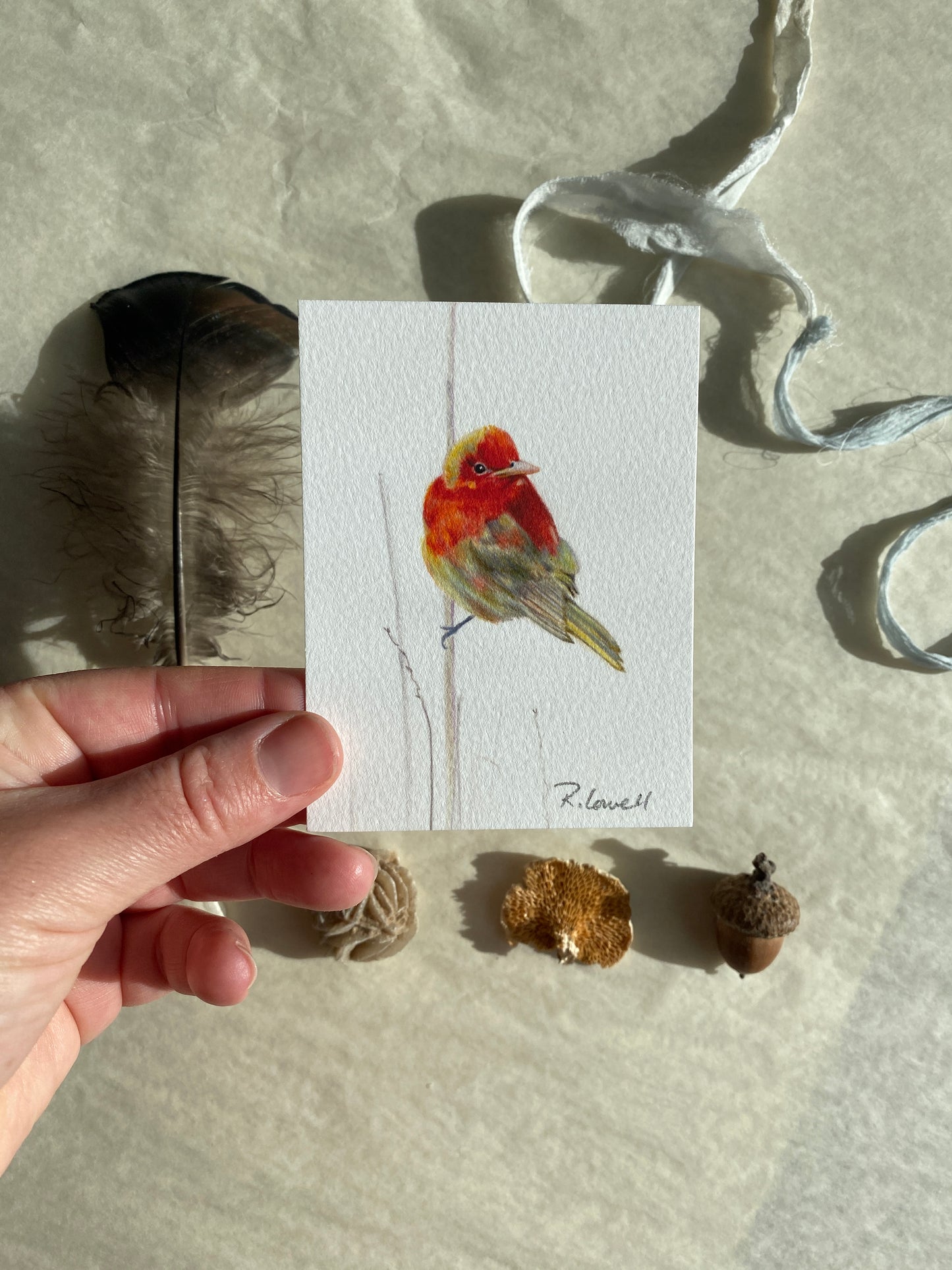 Summer Tanager Little Print