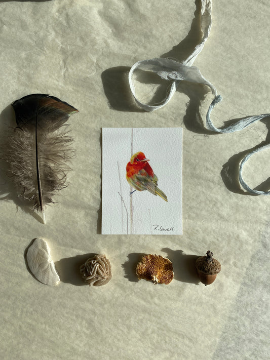 Summer Tanager Little Print