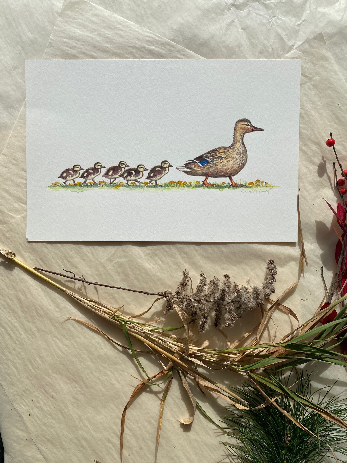 Watercolor Duck Family Hen Mallard & Ducklings