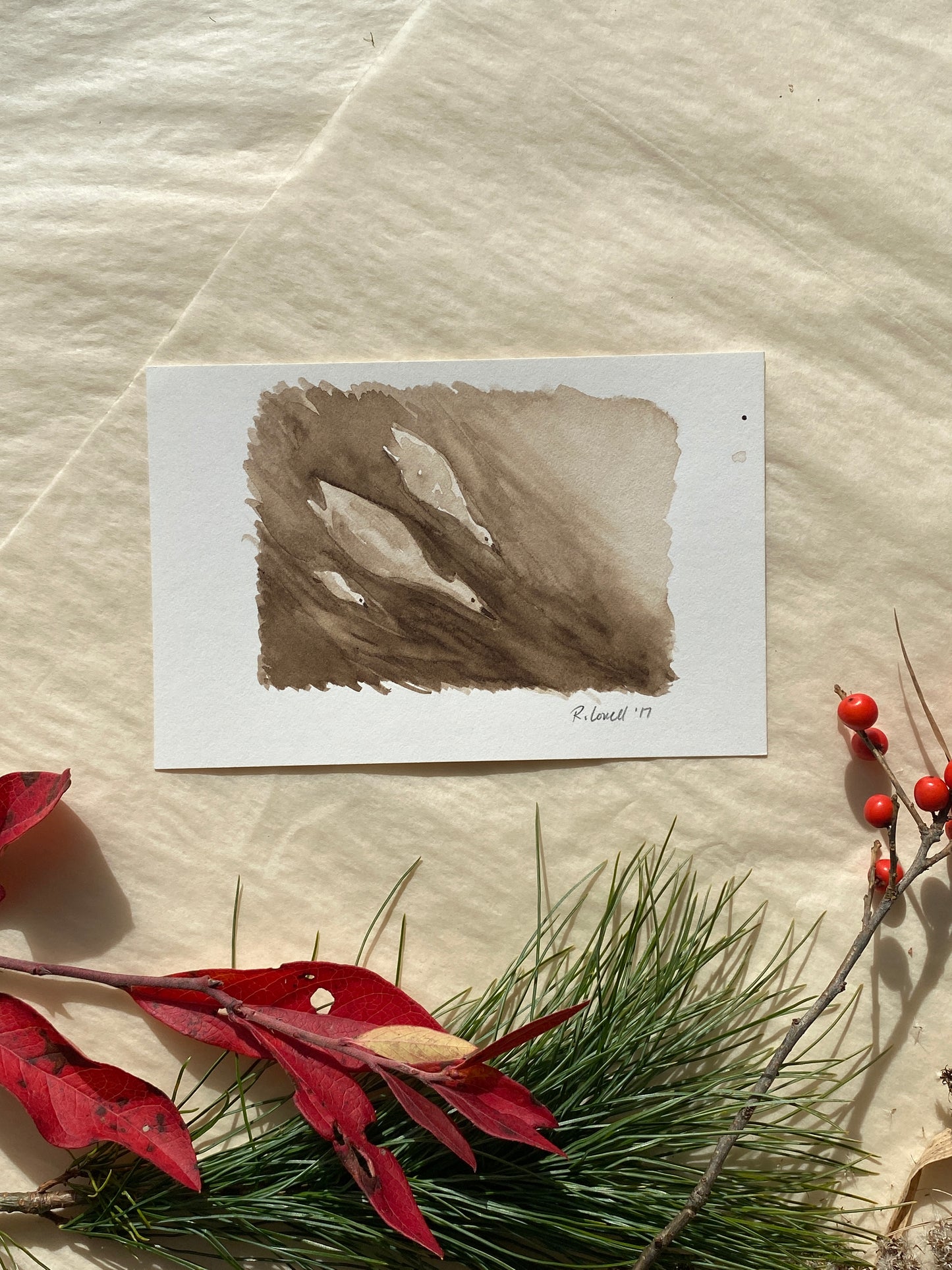 Walnut ink Grebes