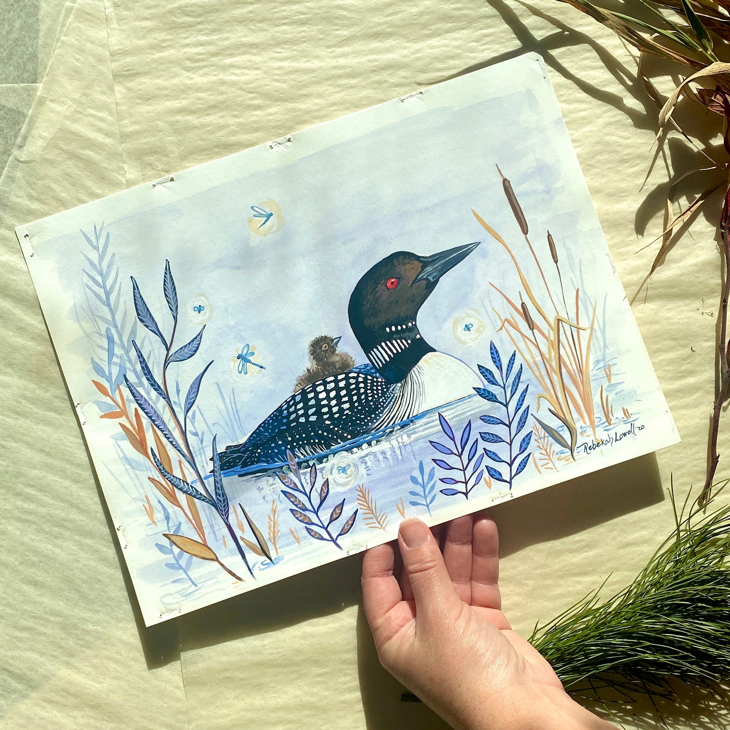 Common Loon and Chick Painting