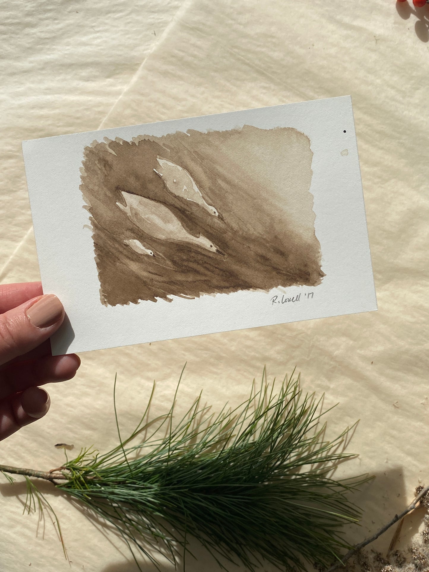 Walnut ink Grebes