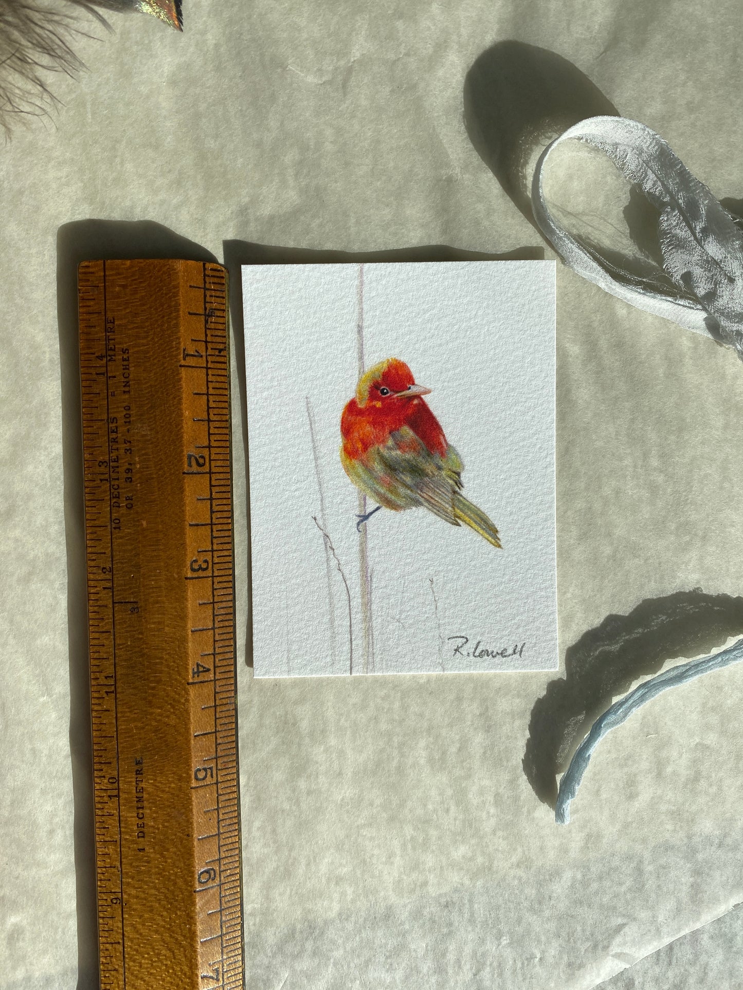 Summer Tanager Little Print