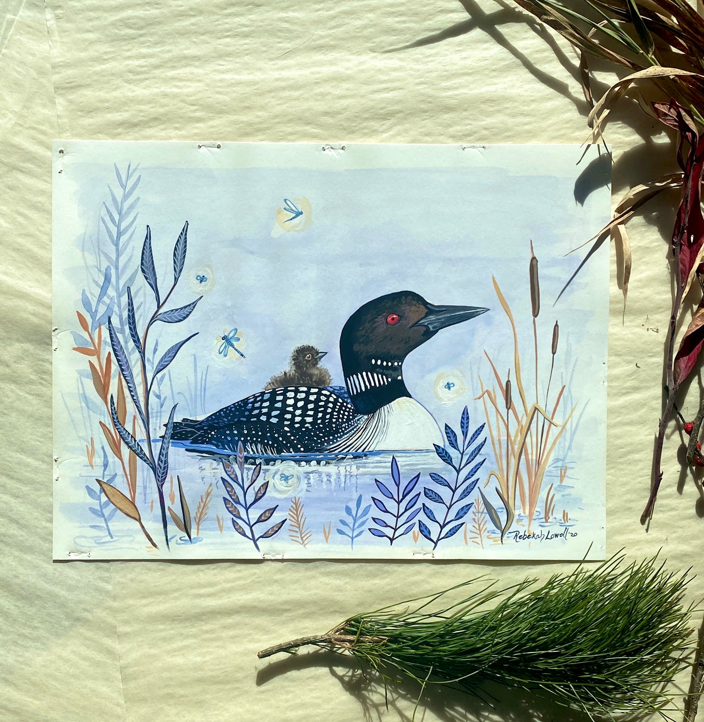 Common Loon and Chick Painting