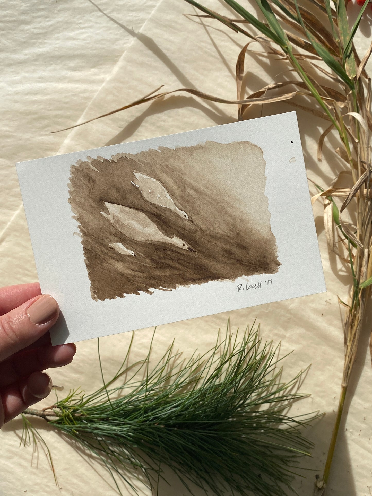 Walnut ink Grebes