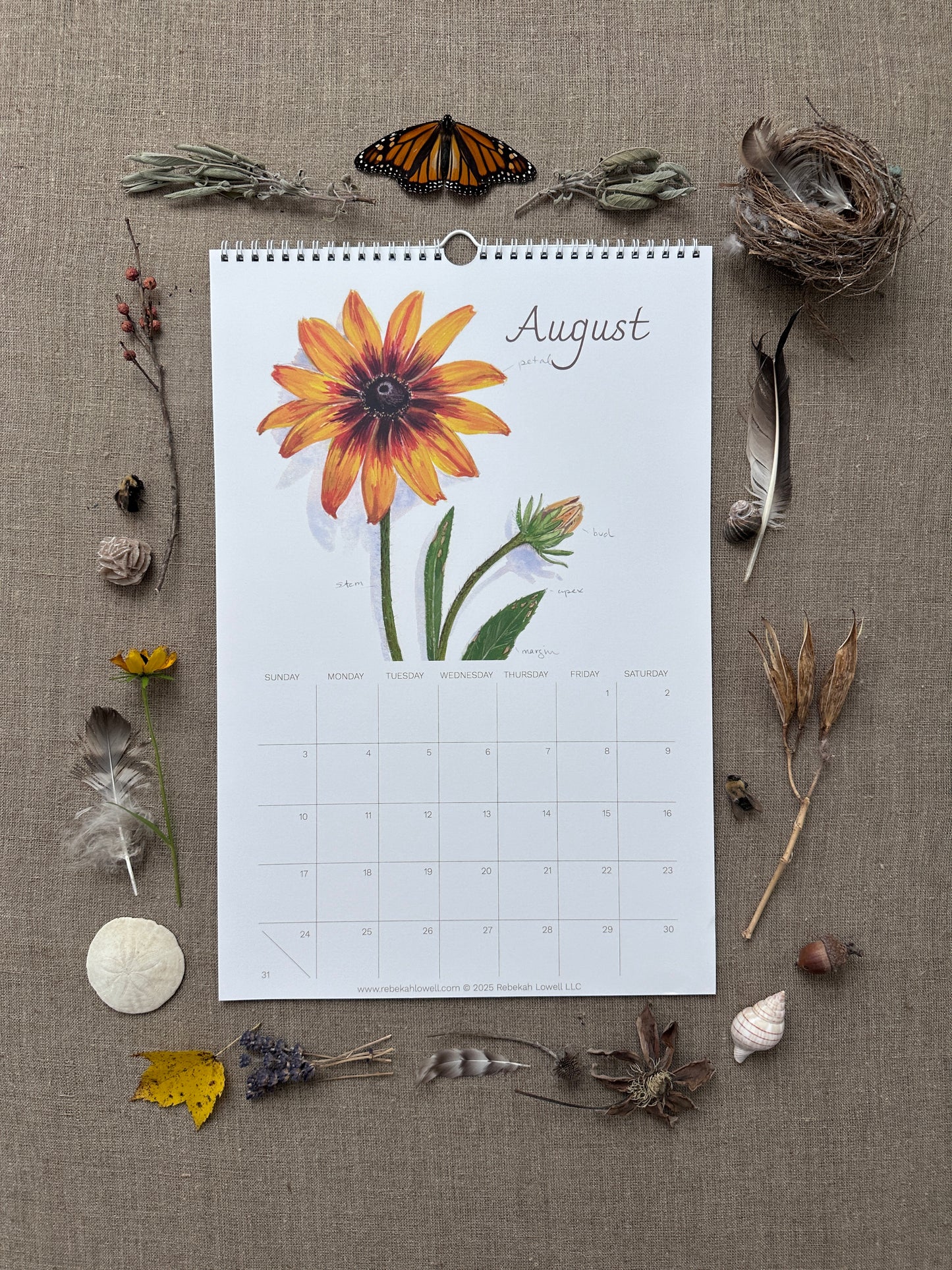 A Year in Nature 2025 Wall Calendar by Rebekah Lowell