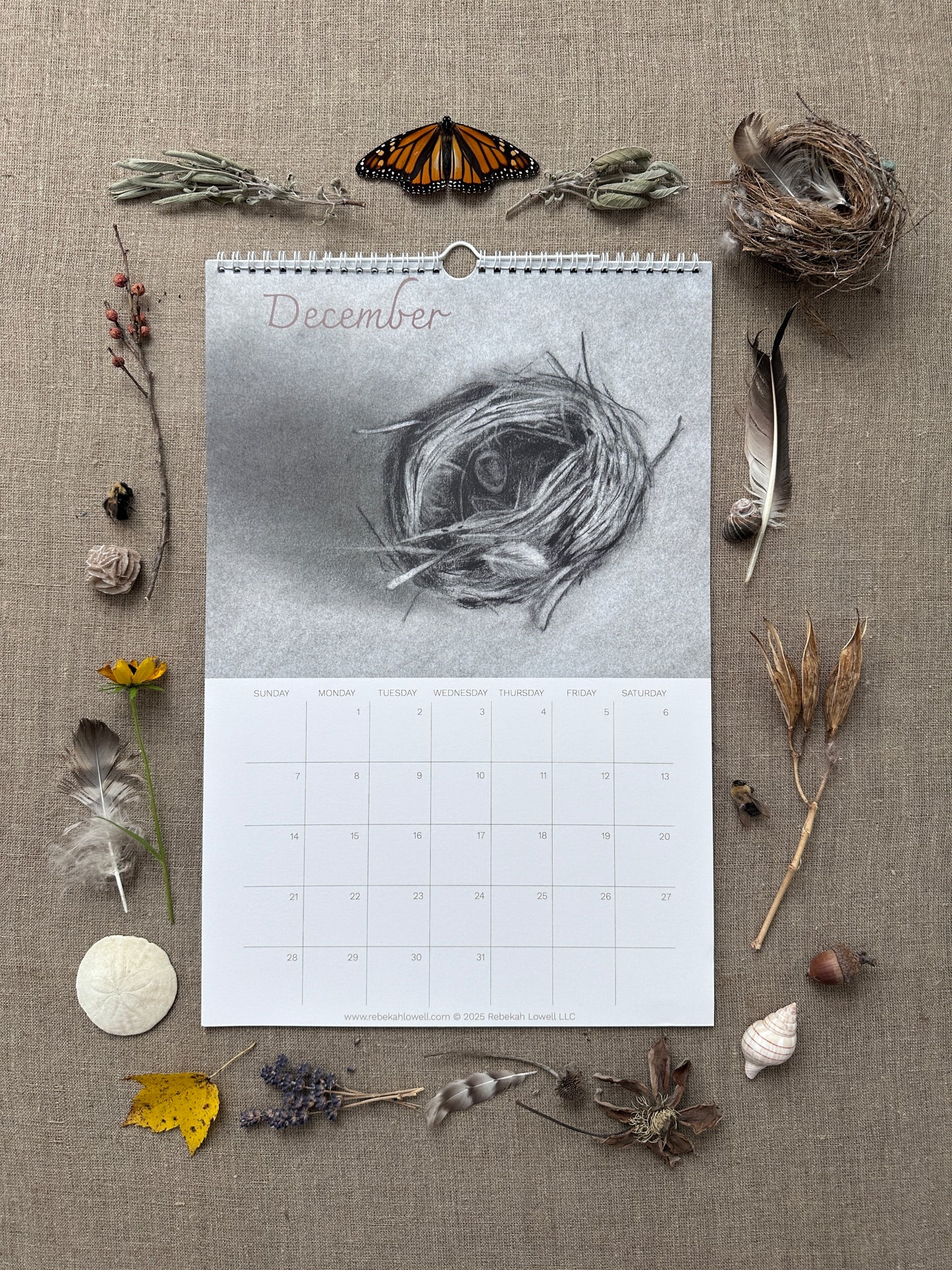 A Year in Nature 2025 Wall Calendar by Rebekah Lowell