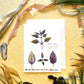 Purple Basil Botanical Blank Notecard