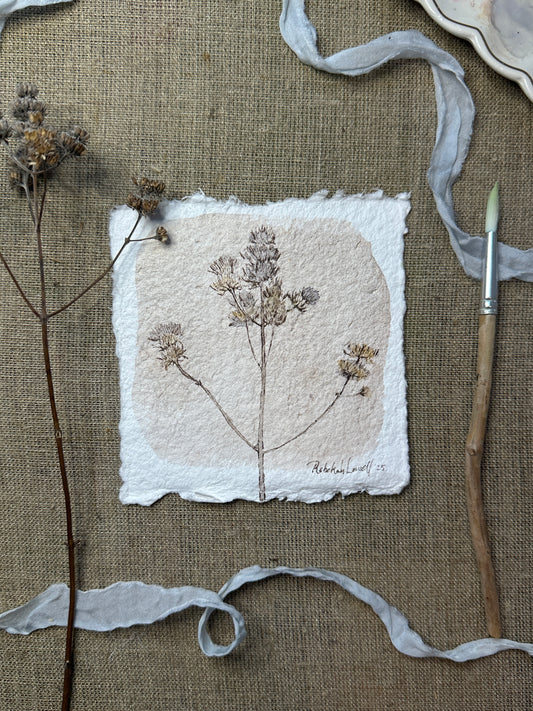Virginia Mountain Mint Mini Original Painting