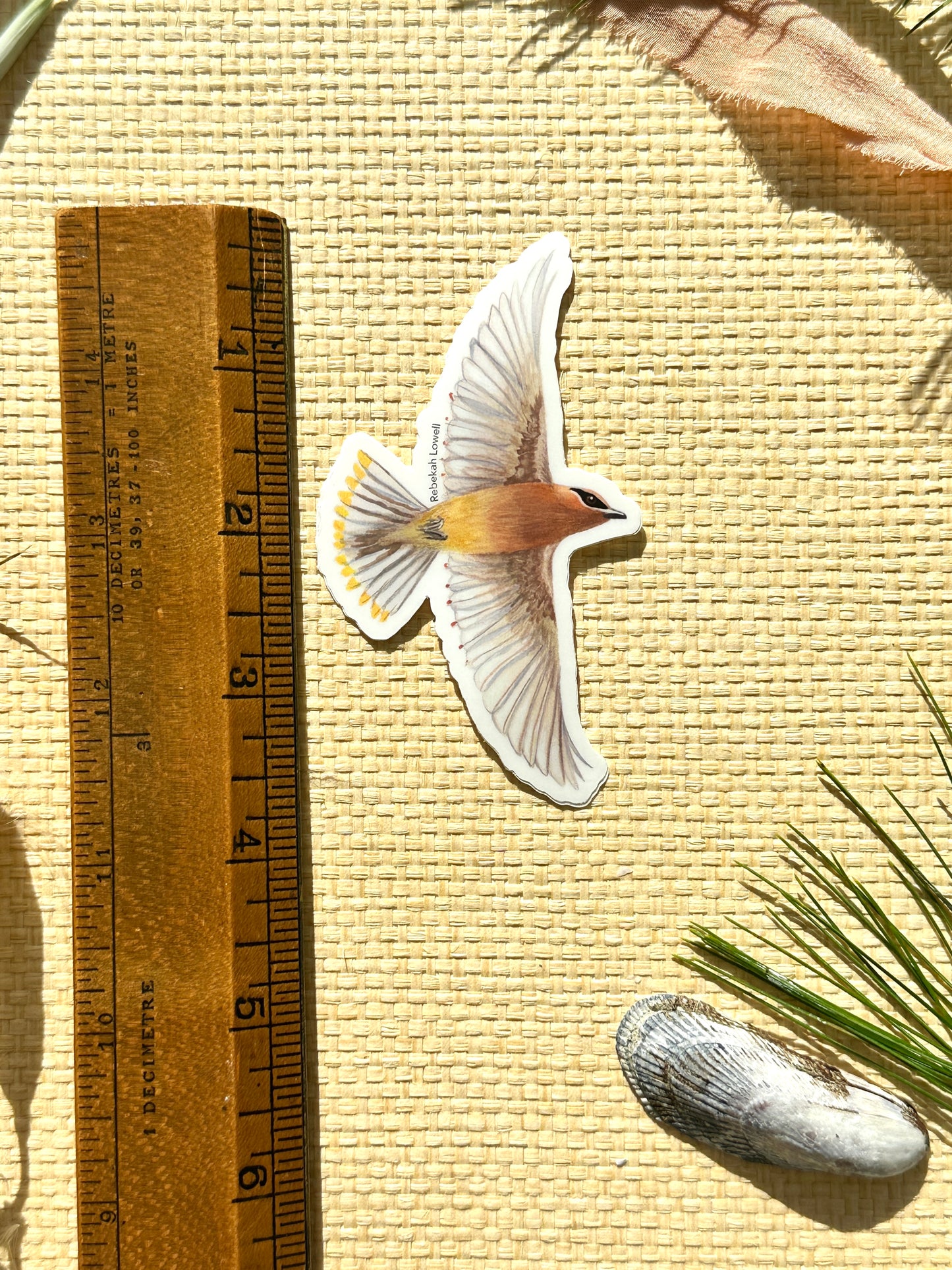 Cedar Waxwing in Flight Vinyl Decal Bumper Sticker