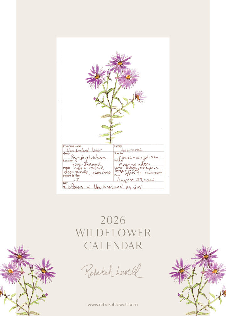 2026 Wildflower Wall Calendar