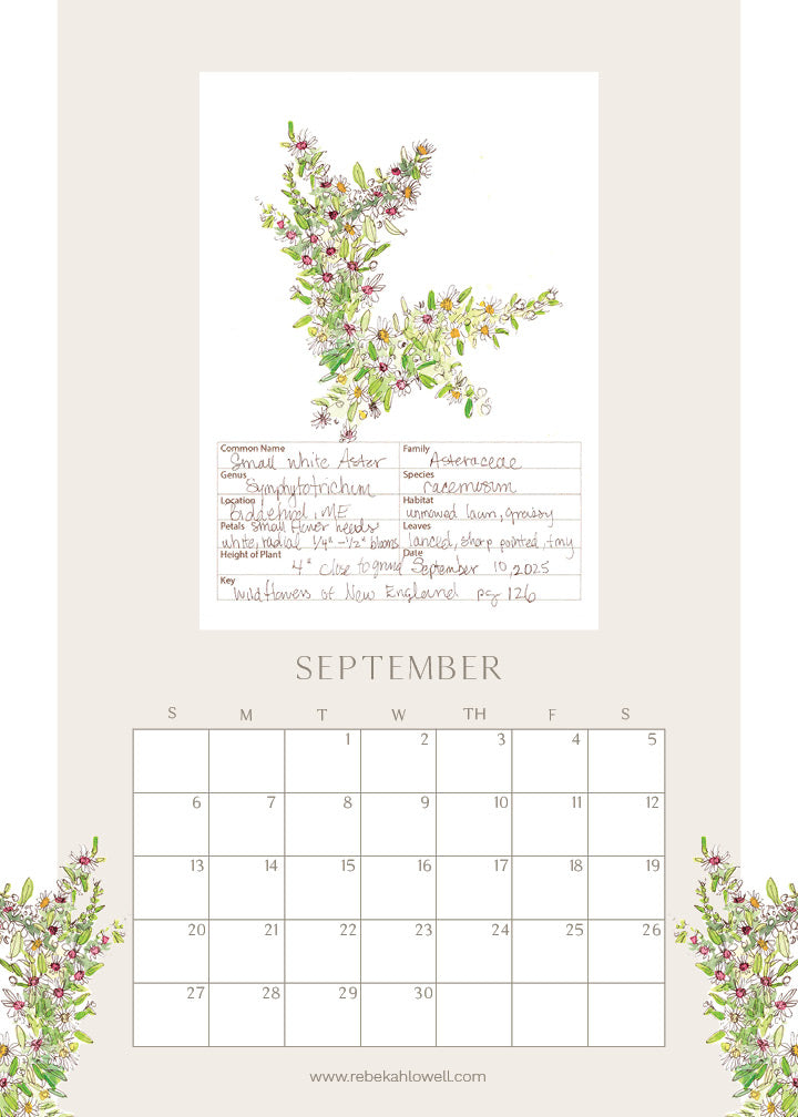 2026 Wildflower Wall Calendar