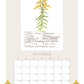 2026 Wildflower Wall Calendar